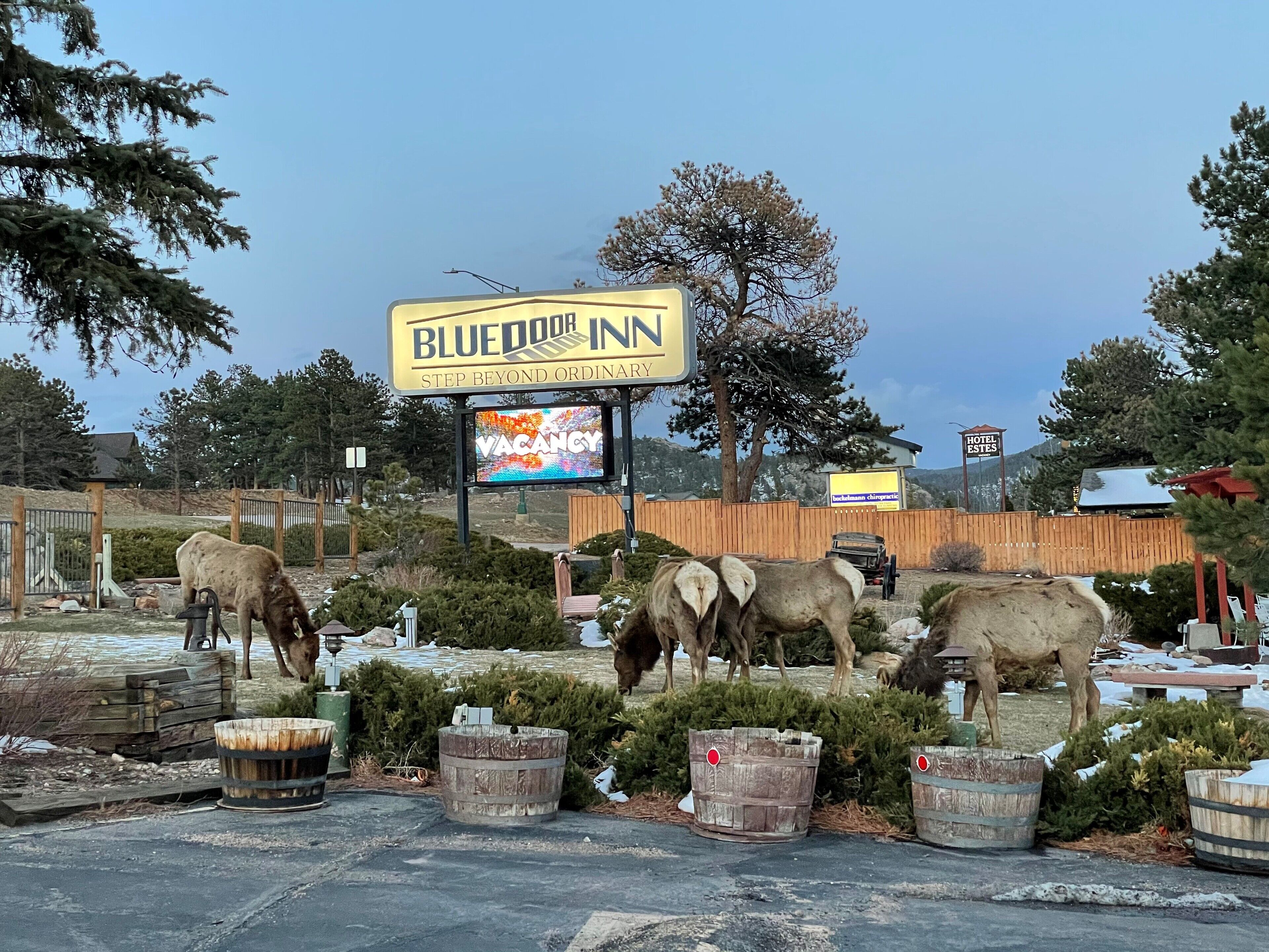 Blue Door Inn