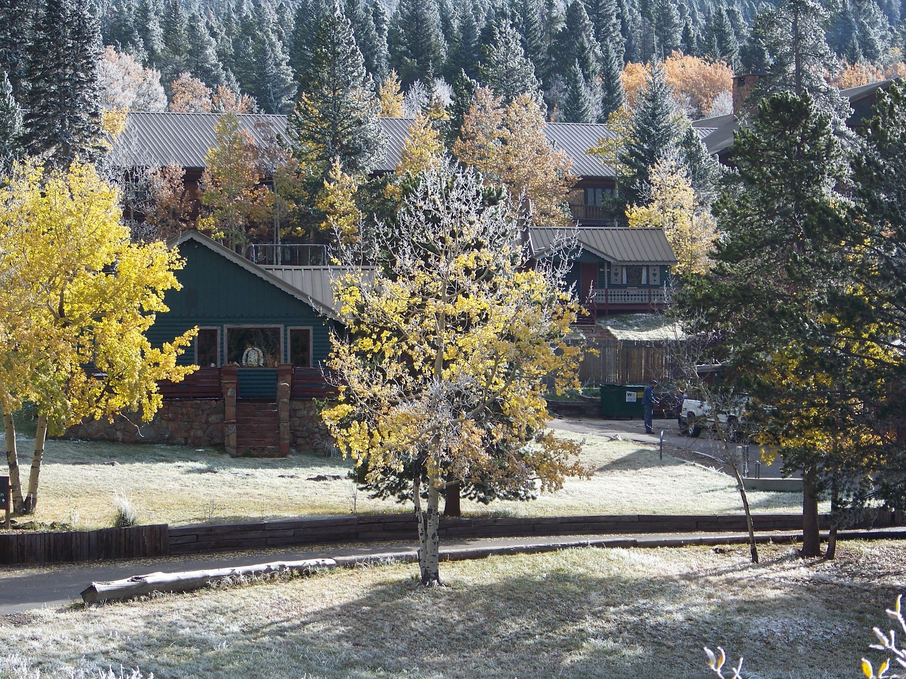 Dao House