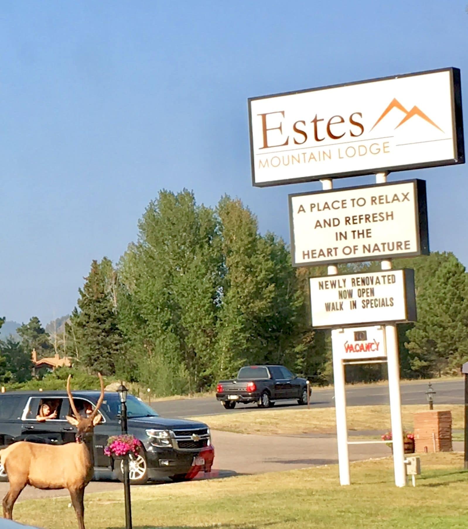 Estes Mountain Inn