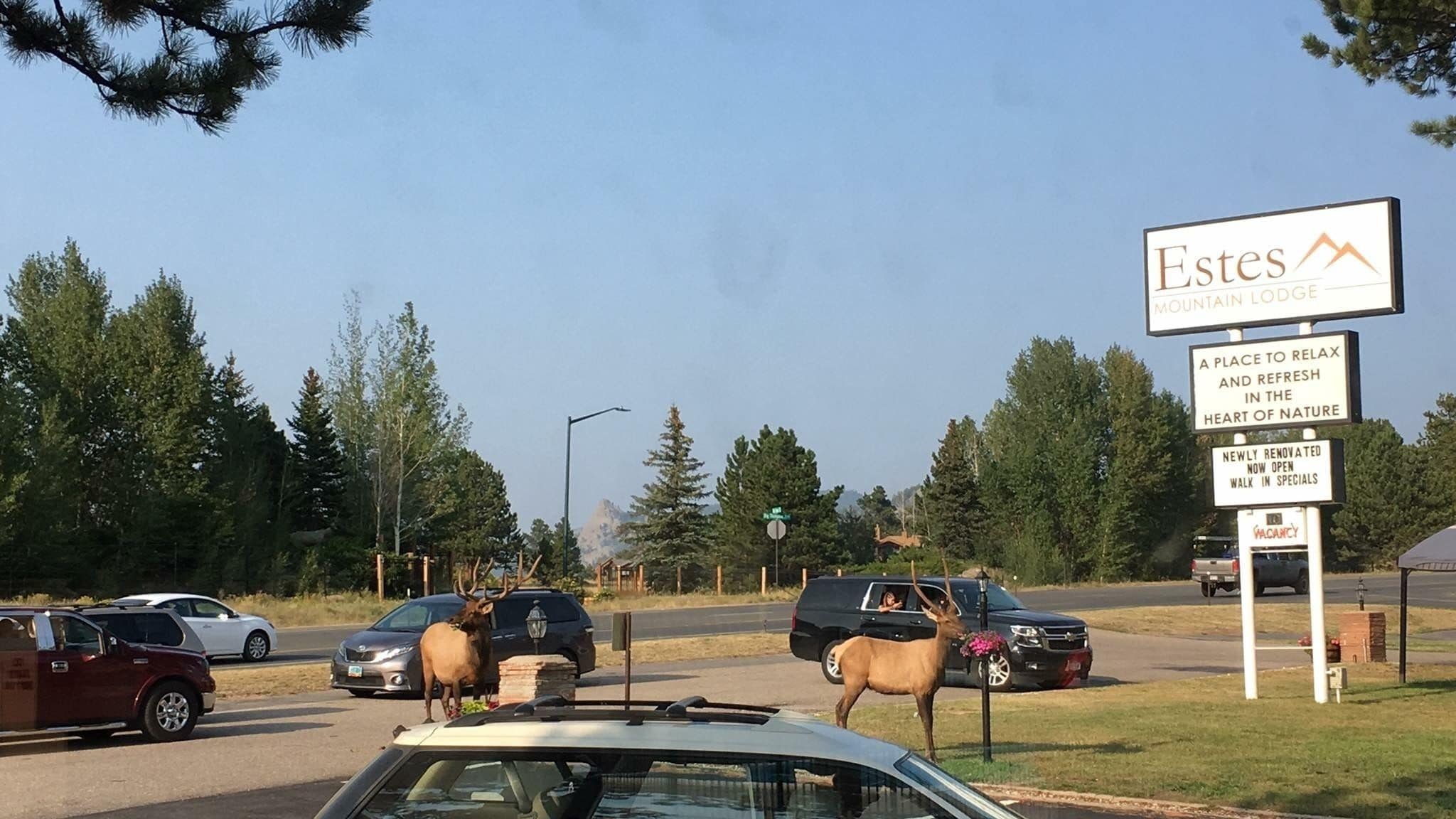 Estes Mountain Inn