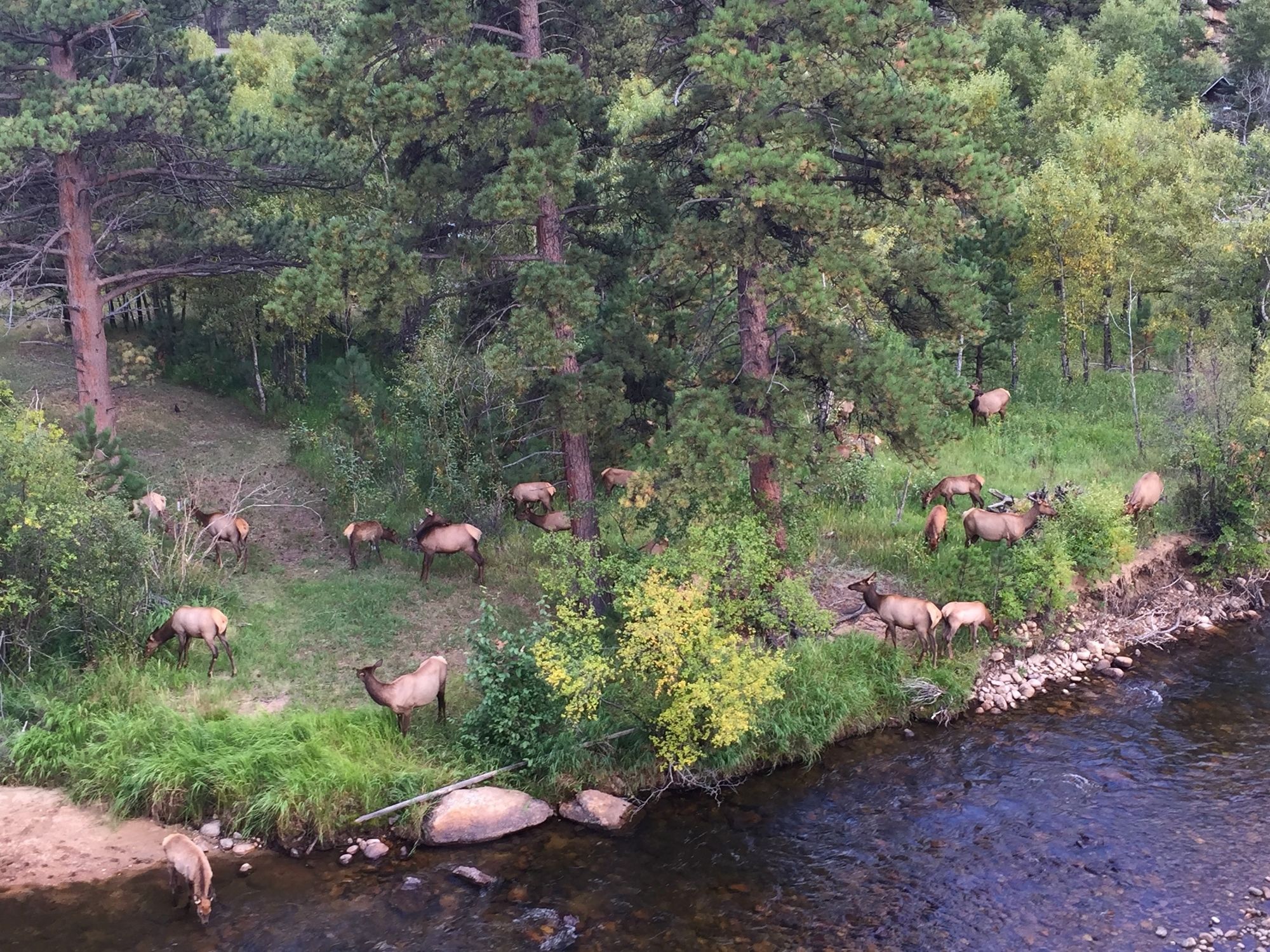 The Landing at Estes Park