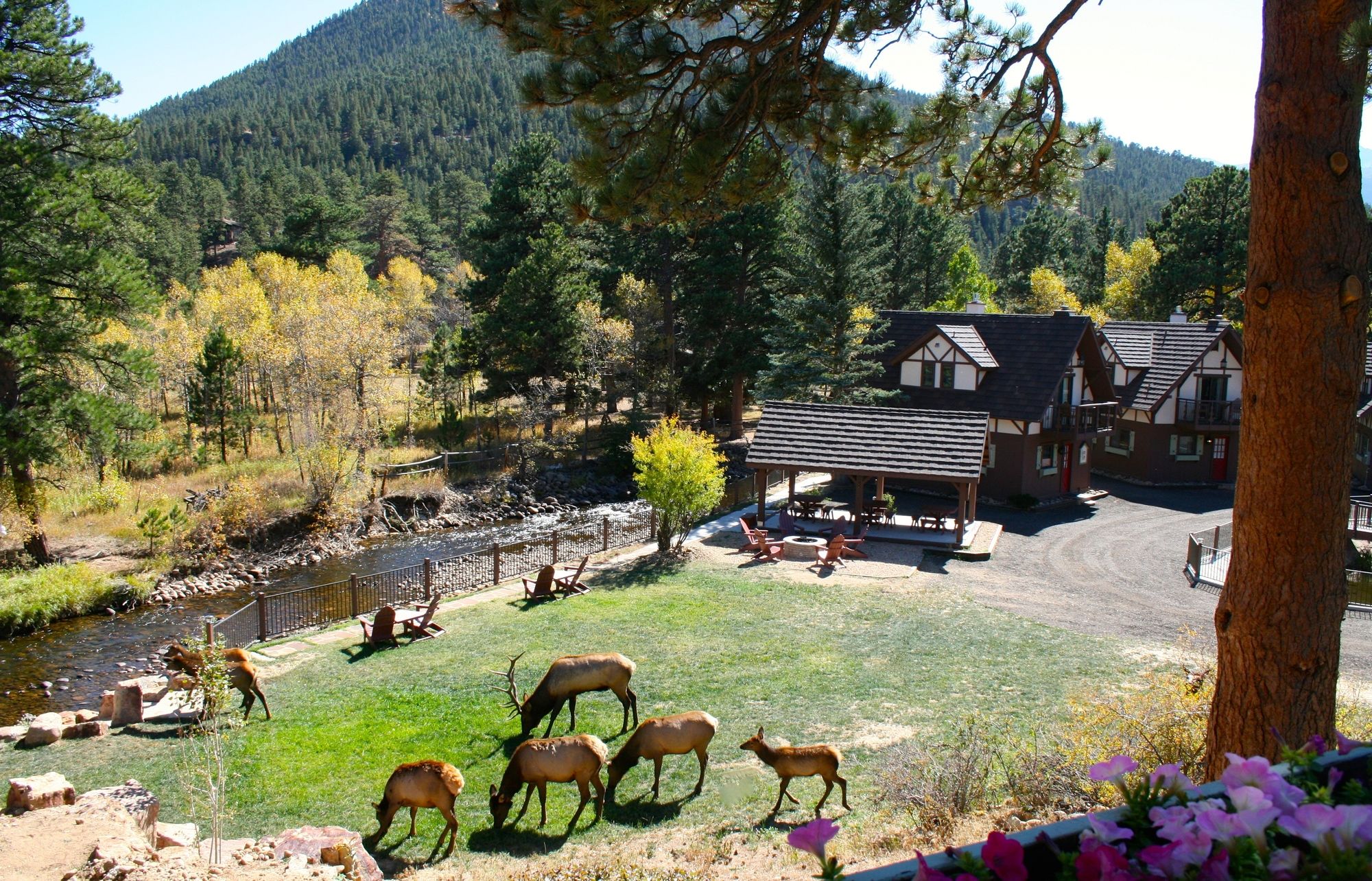 The Landing at Estes Park