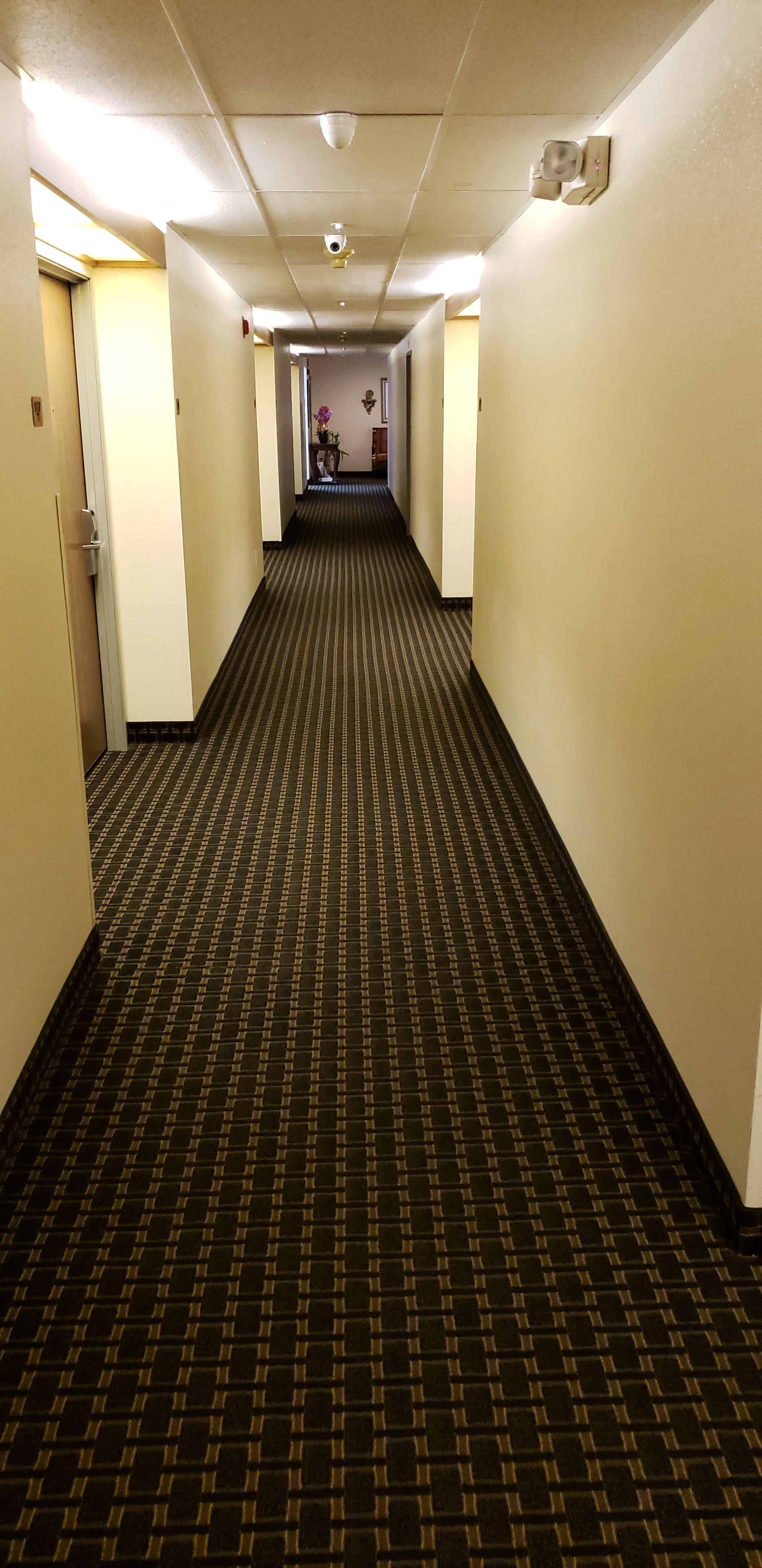 Super 8 by Wyndham Windsor
