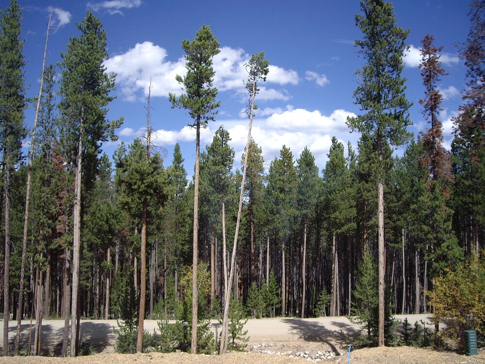 Alante Vista by Stay Winter Park