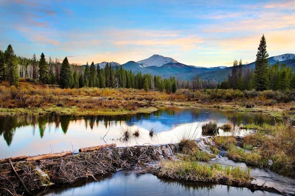 Alante Vista by Stay Winter Park