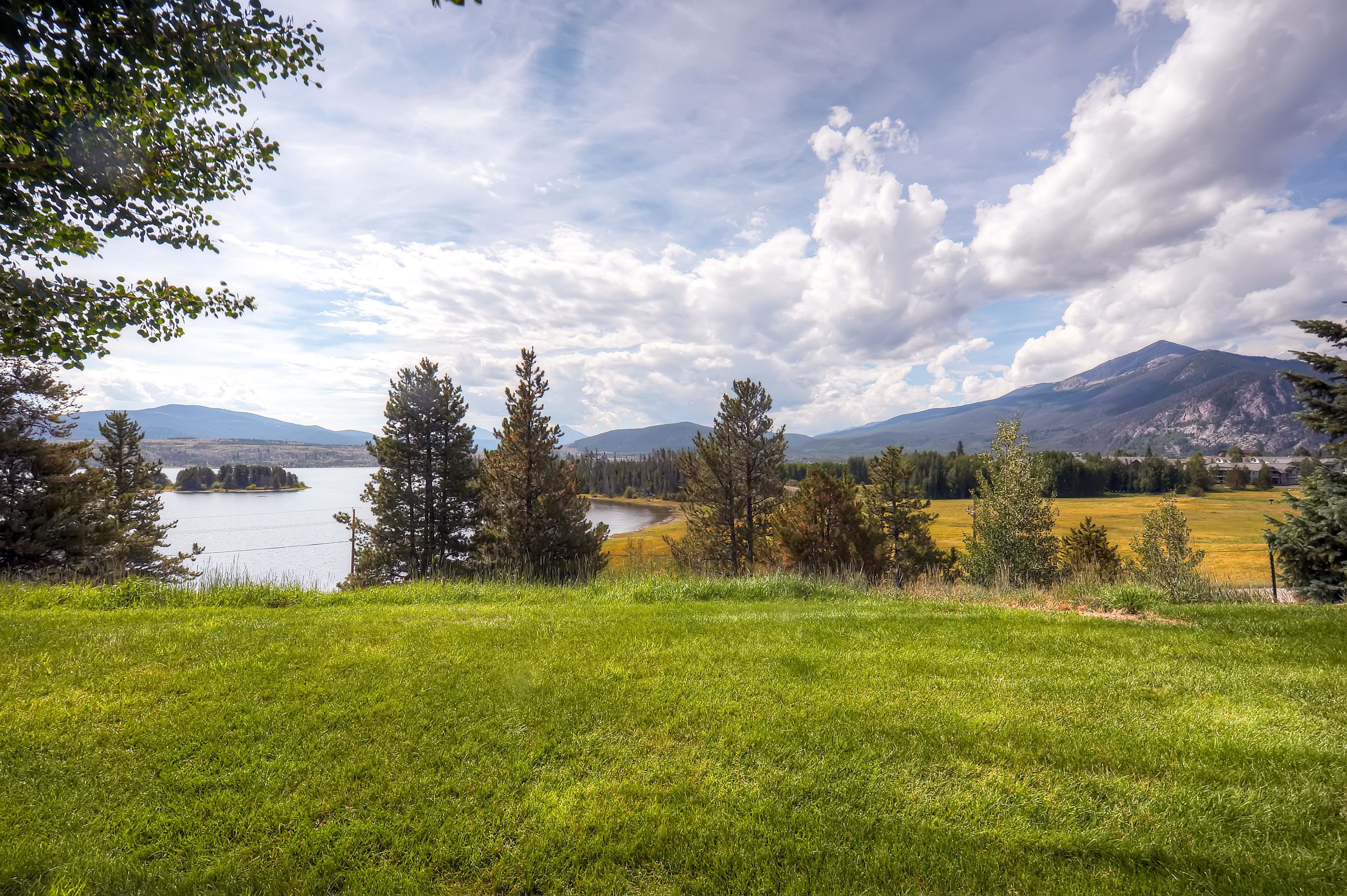 Lake Forest