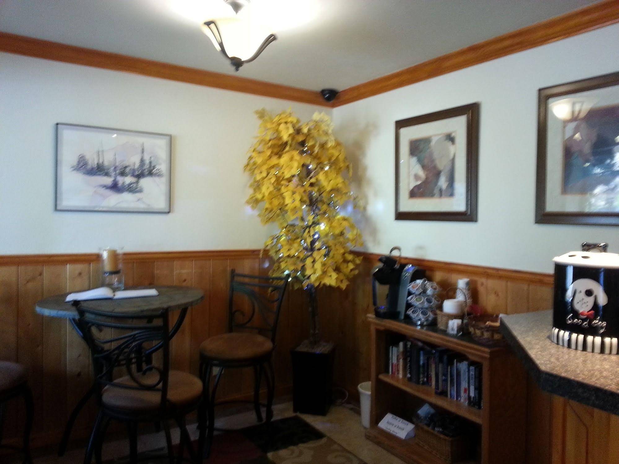 The Canyon Motel