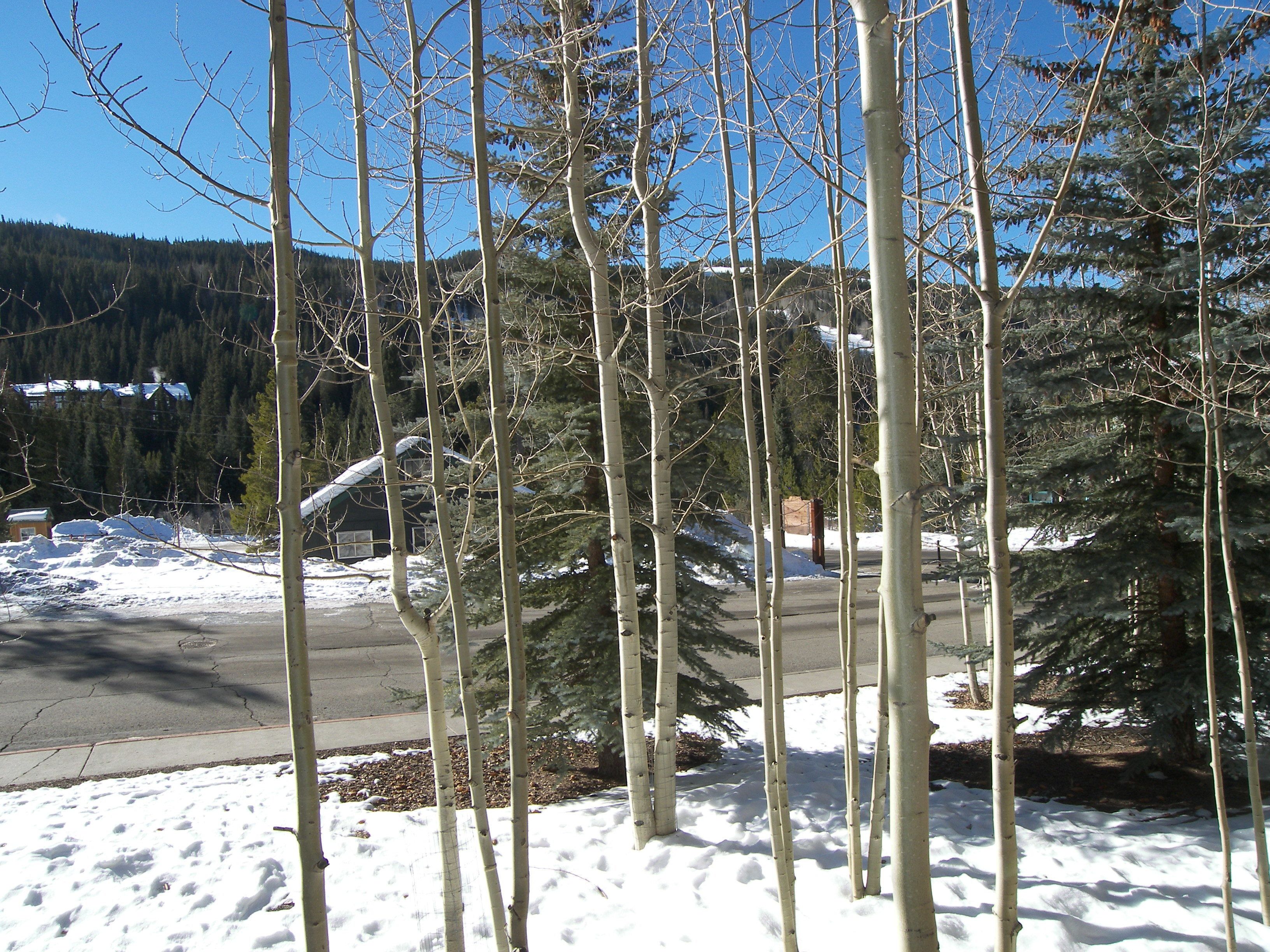 Arapahoe Lodge