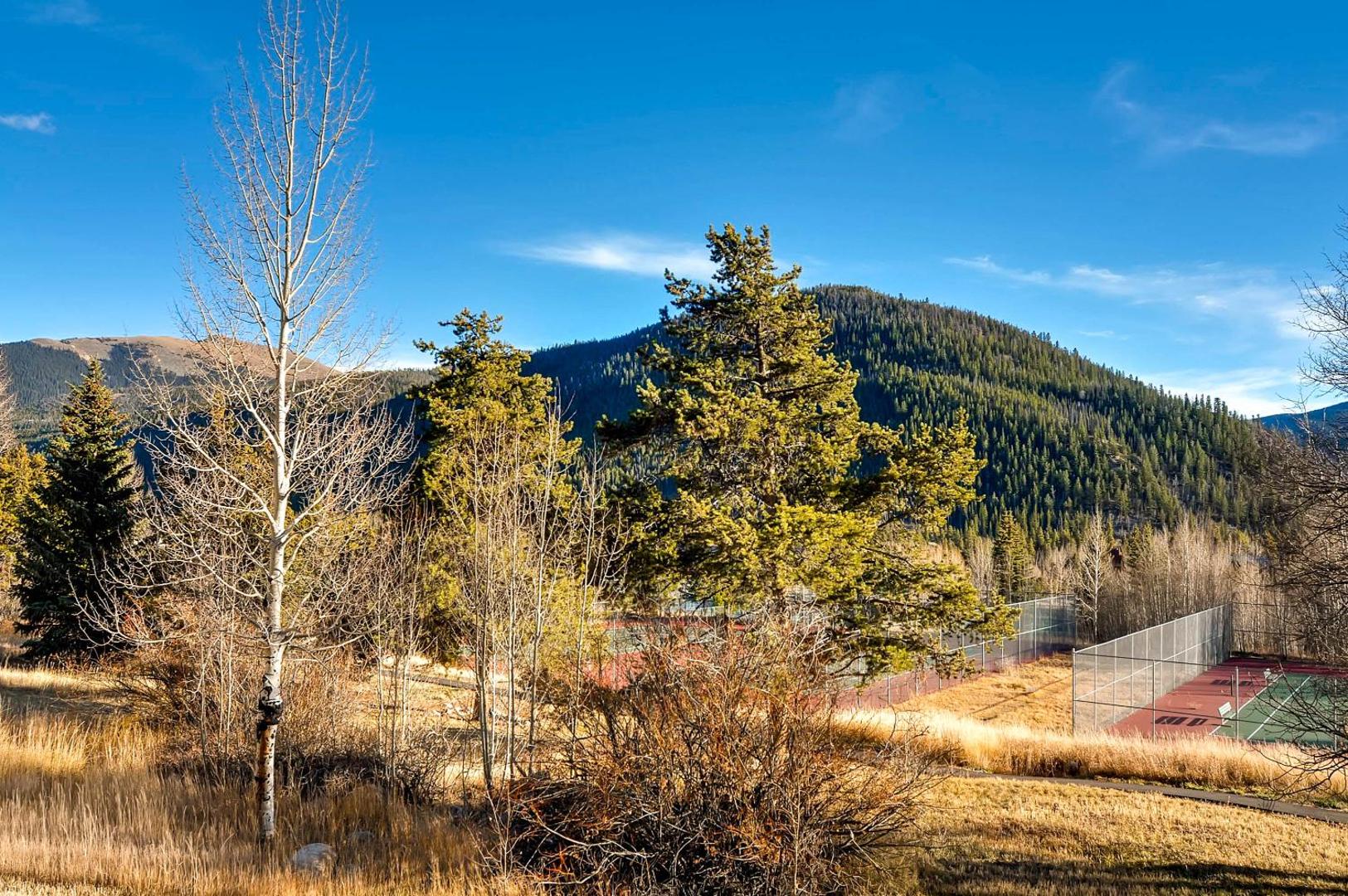 Aspen Ridge Condominiums