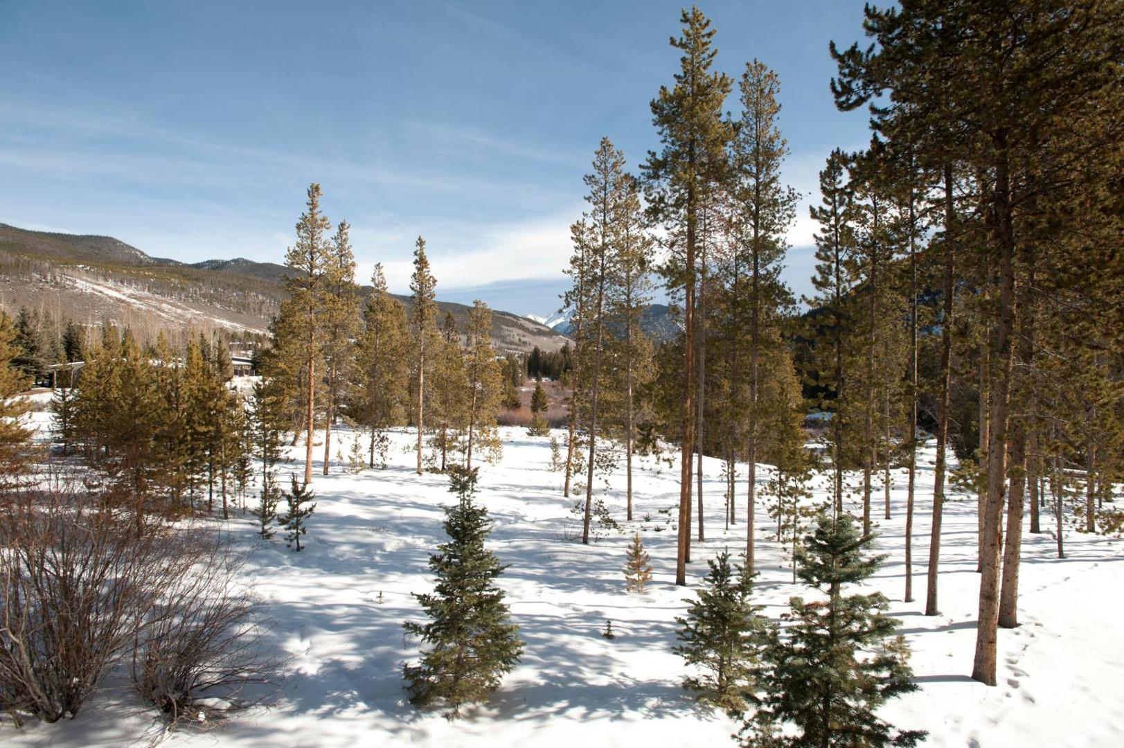 Evergreen Condominiums