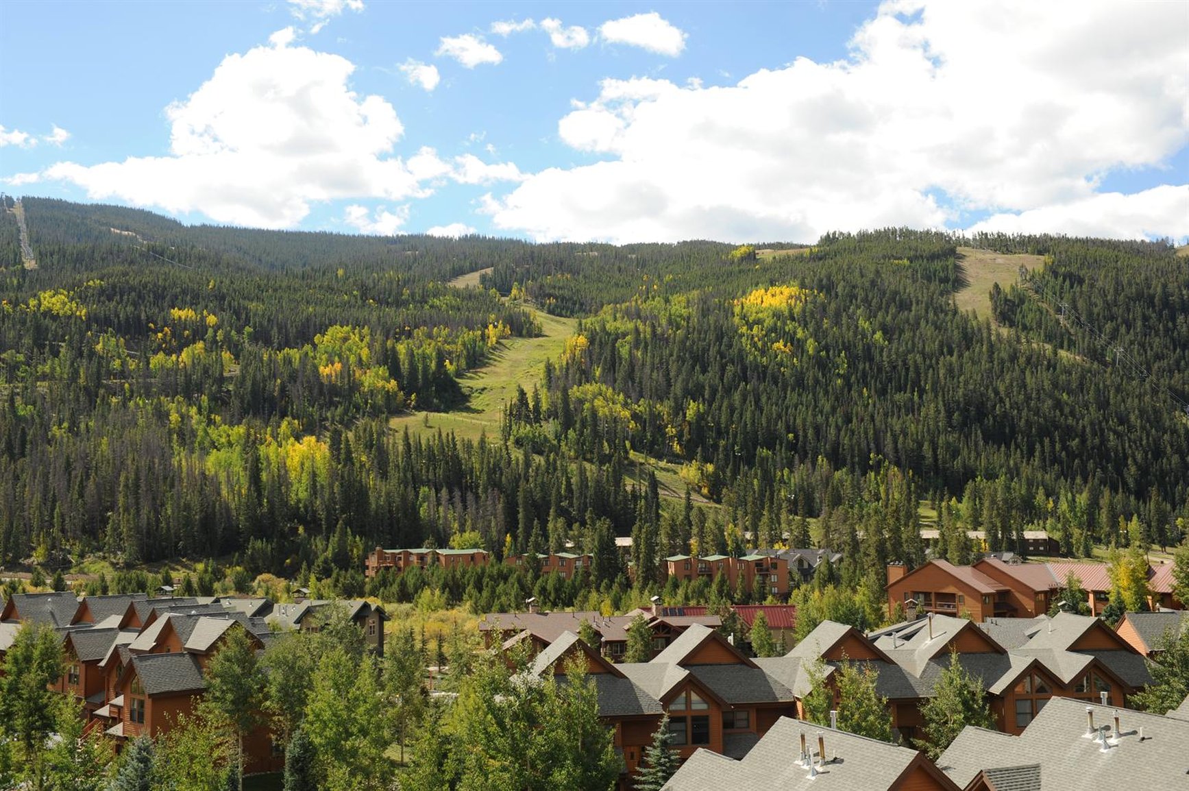 Forest Condominiums