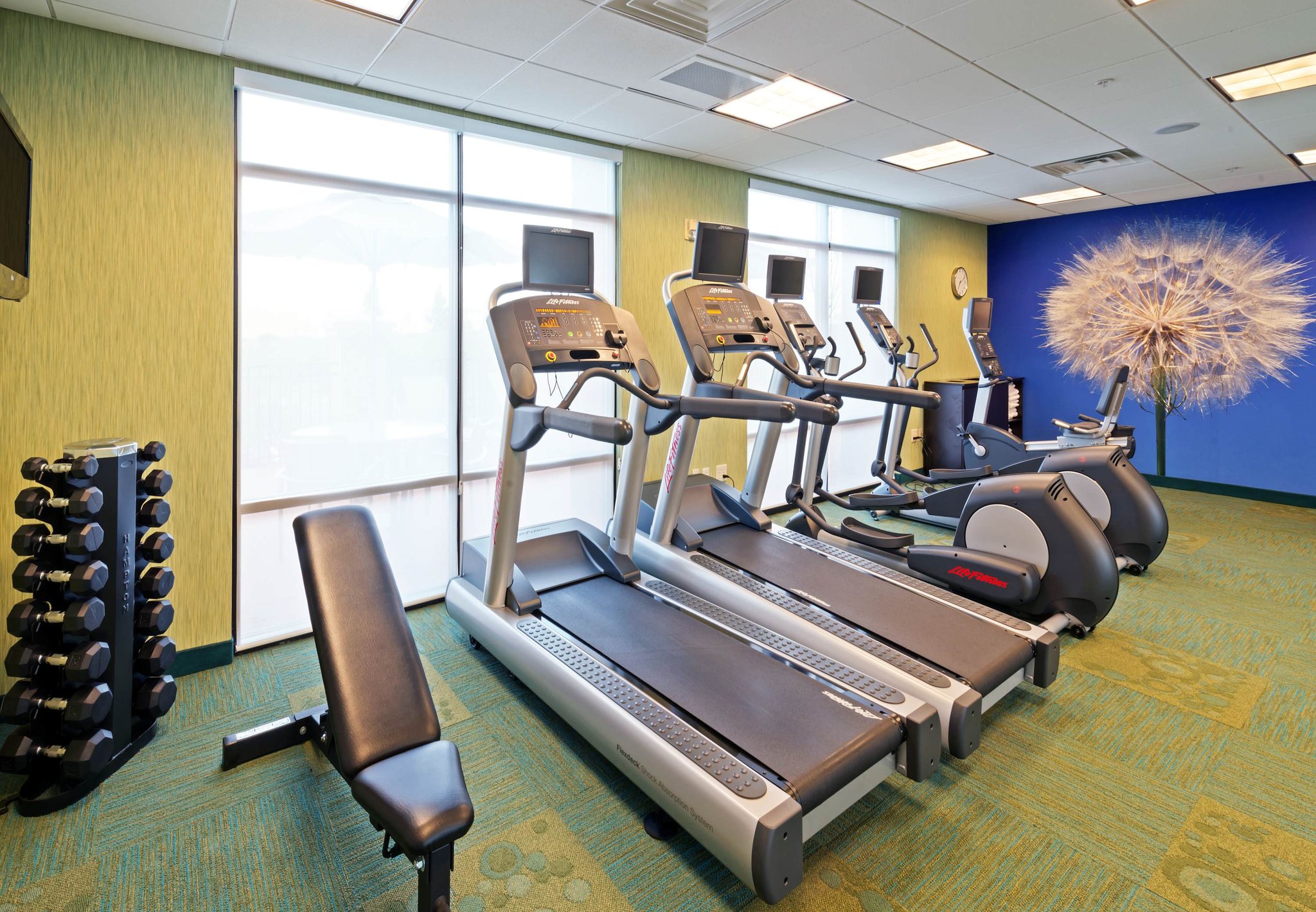 SpringHill Suites Boulder Longmont