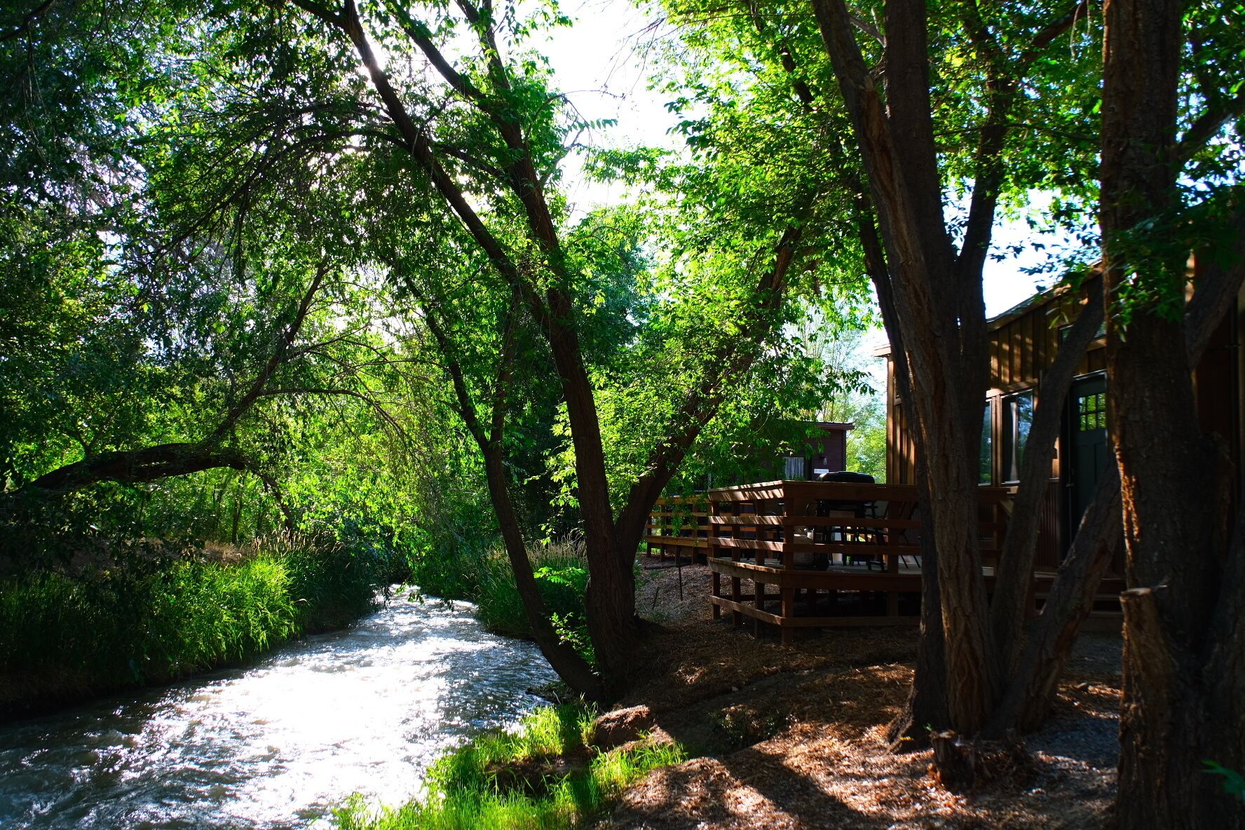 Cedar Creek Rv Park And Lodging