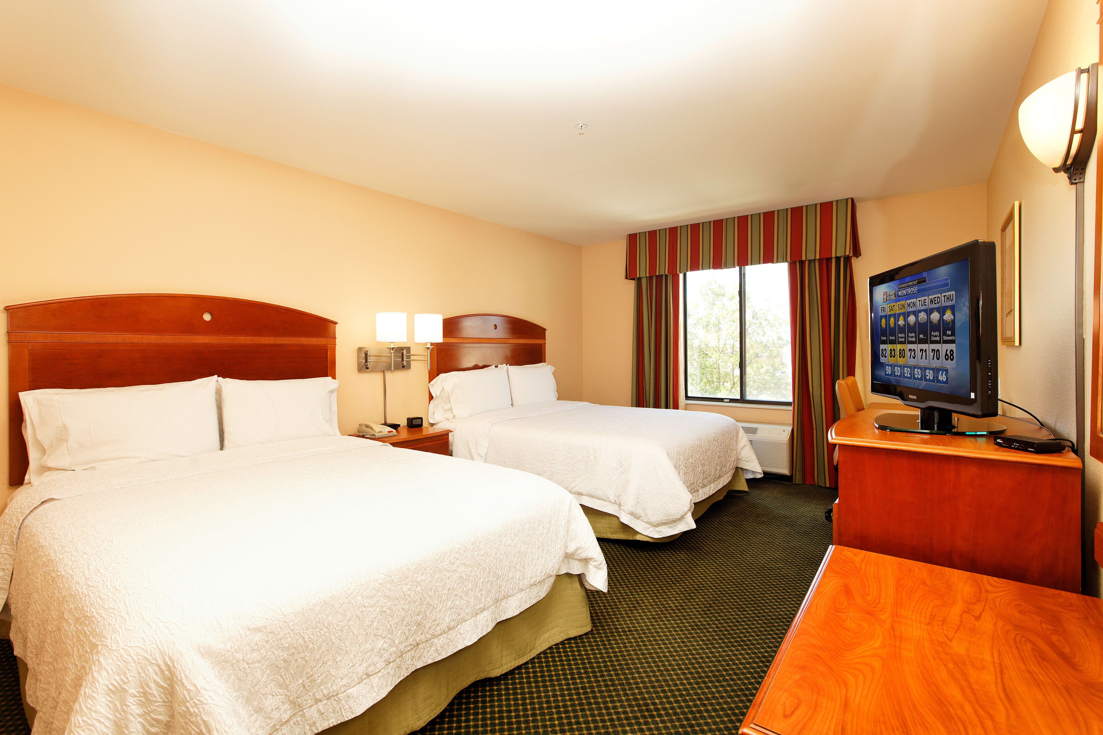 Hampton Inn Montrose