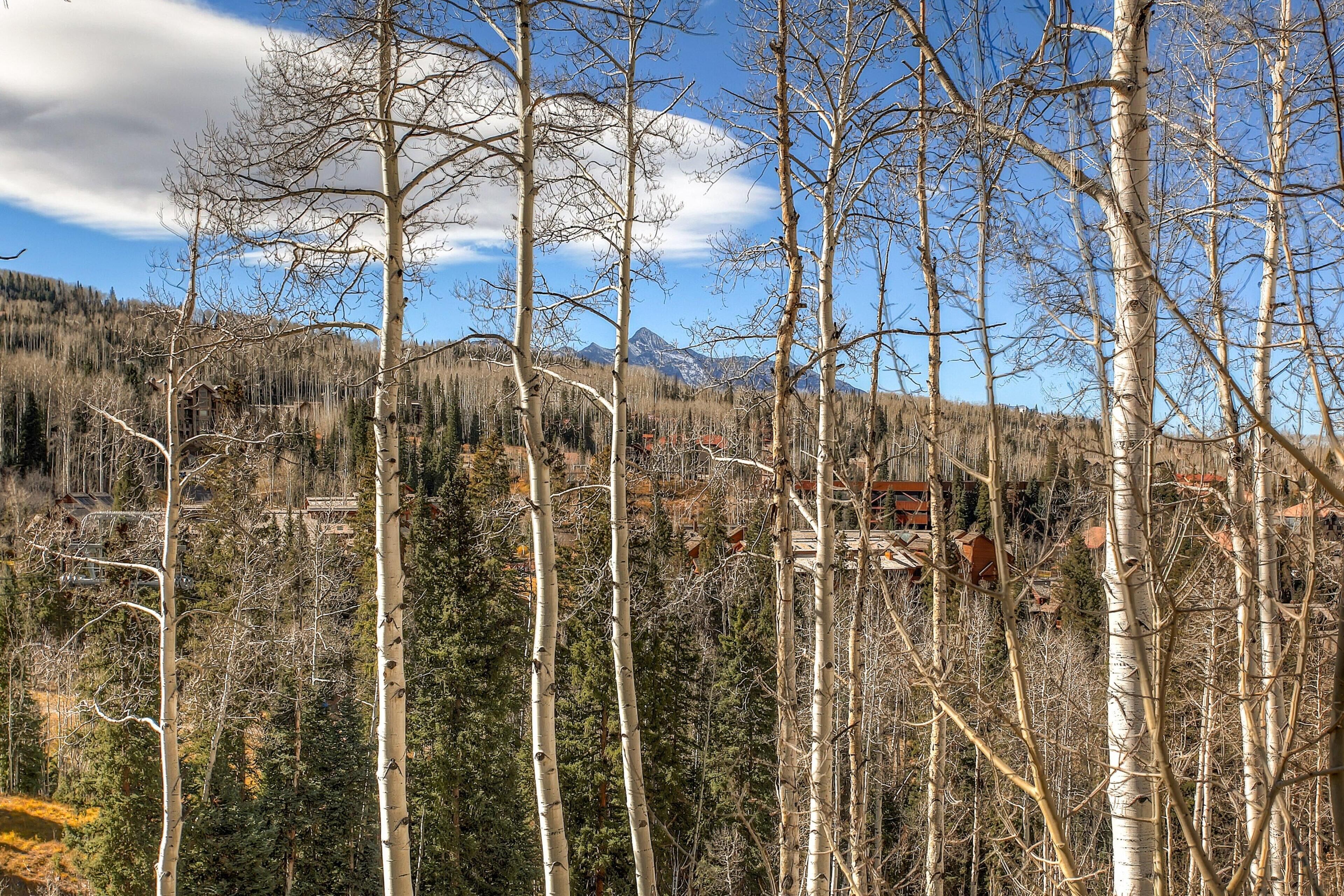Aspen Ridge