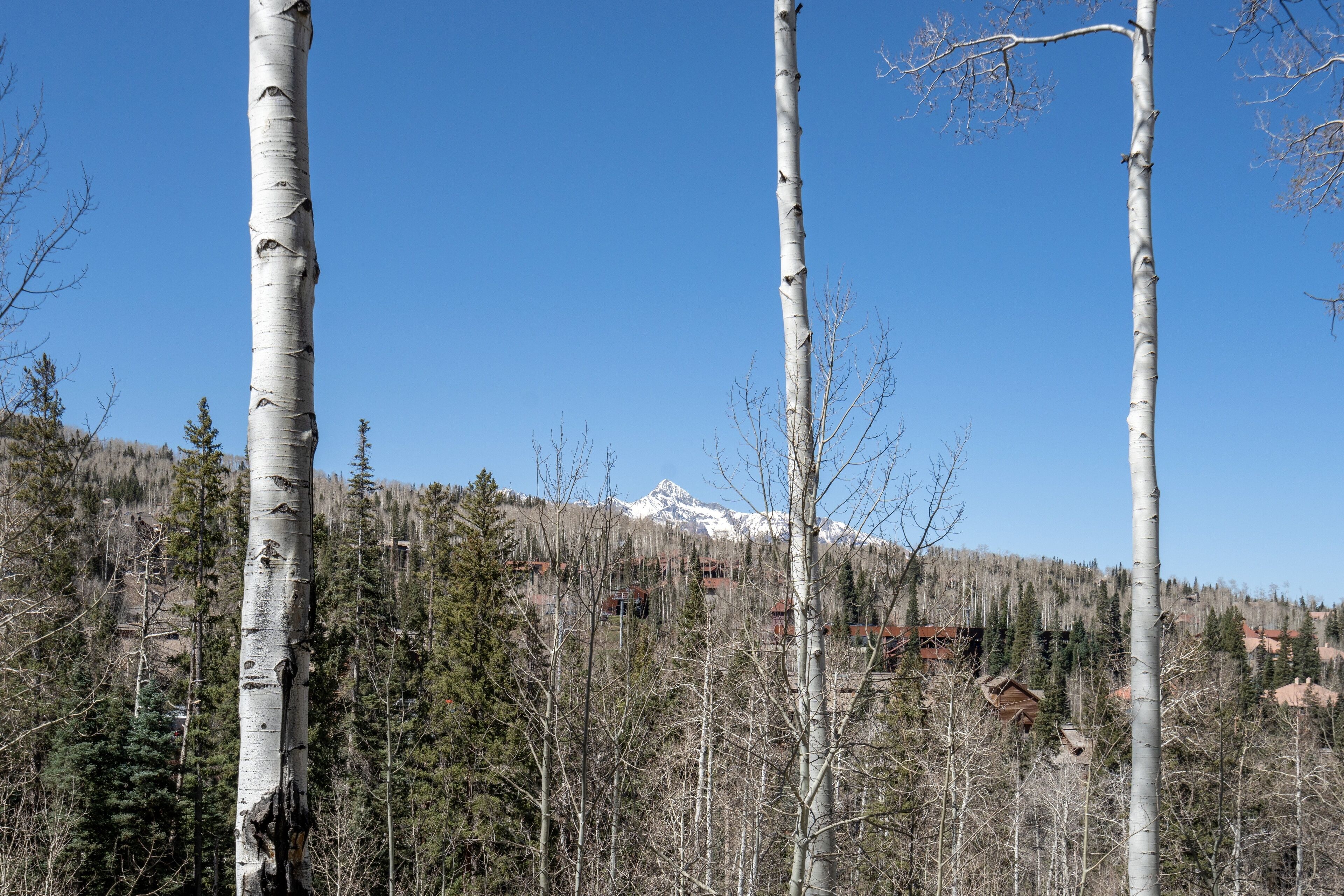 Aspen Ridge