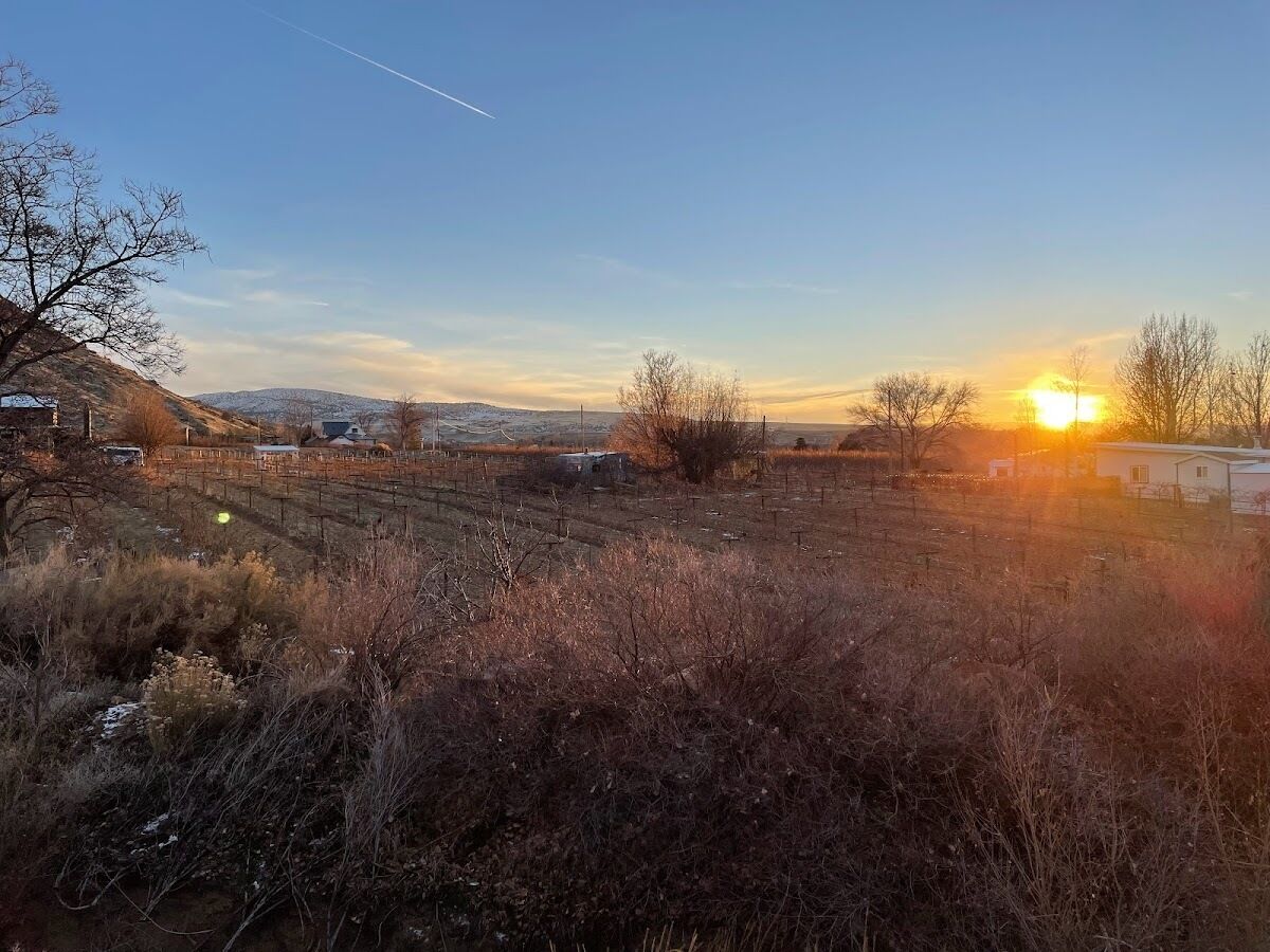 The Homestead