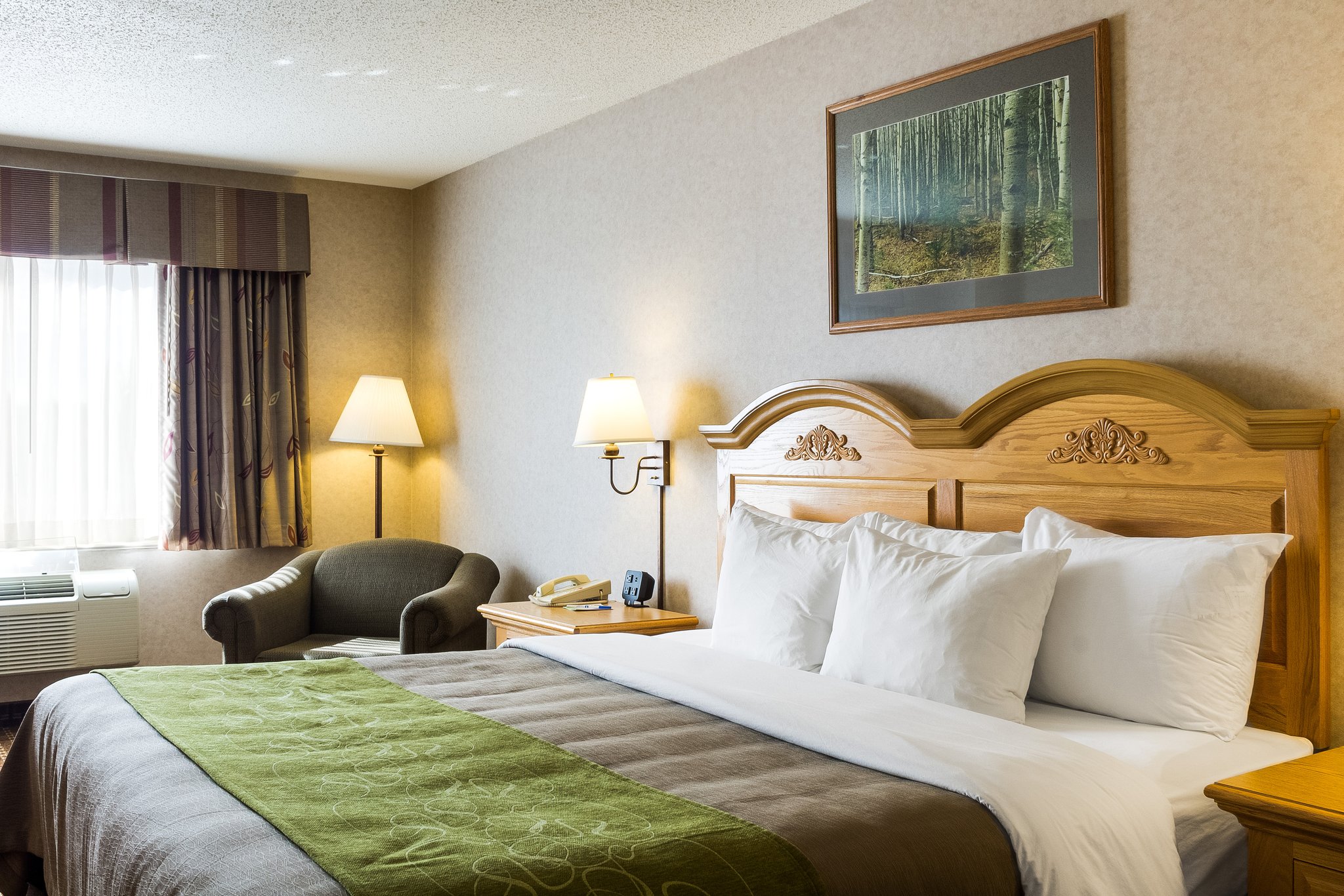Comfort Inn & Suites Rifle