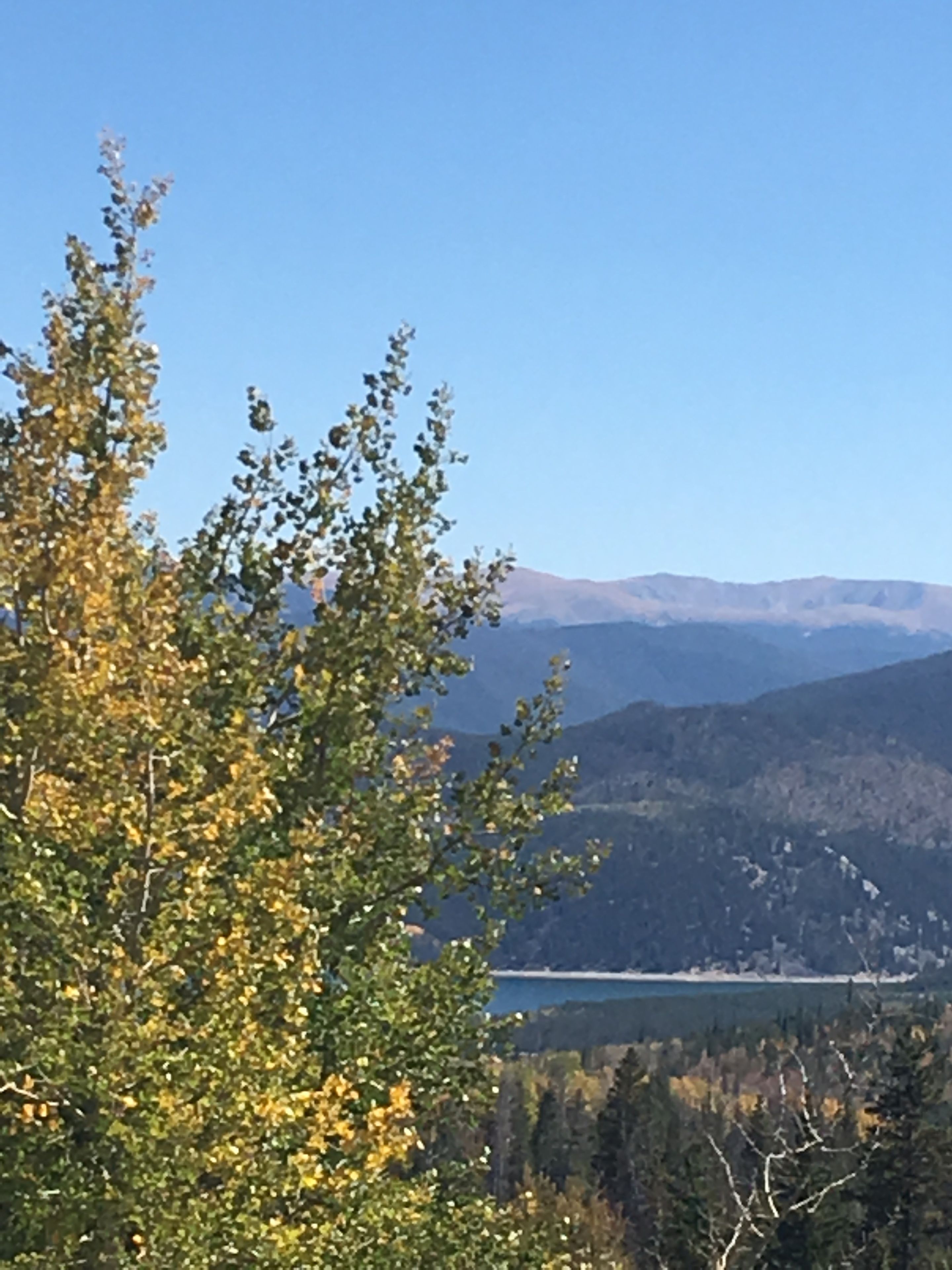 Buffalo Ridge