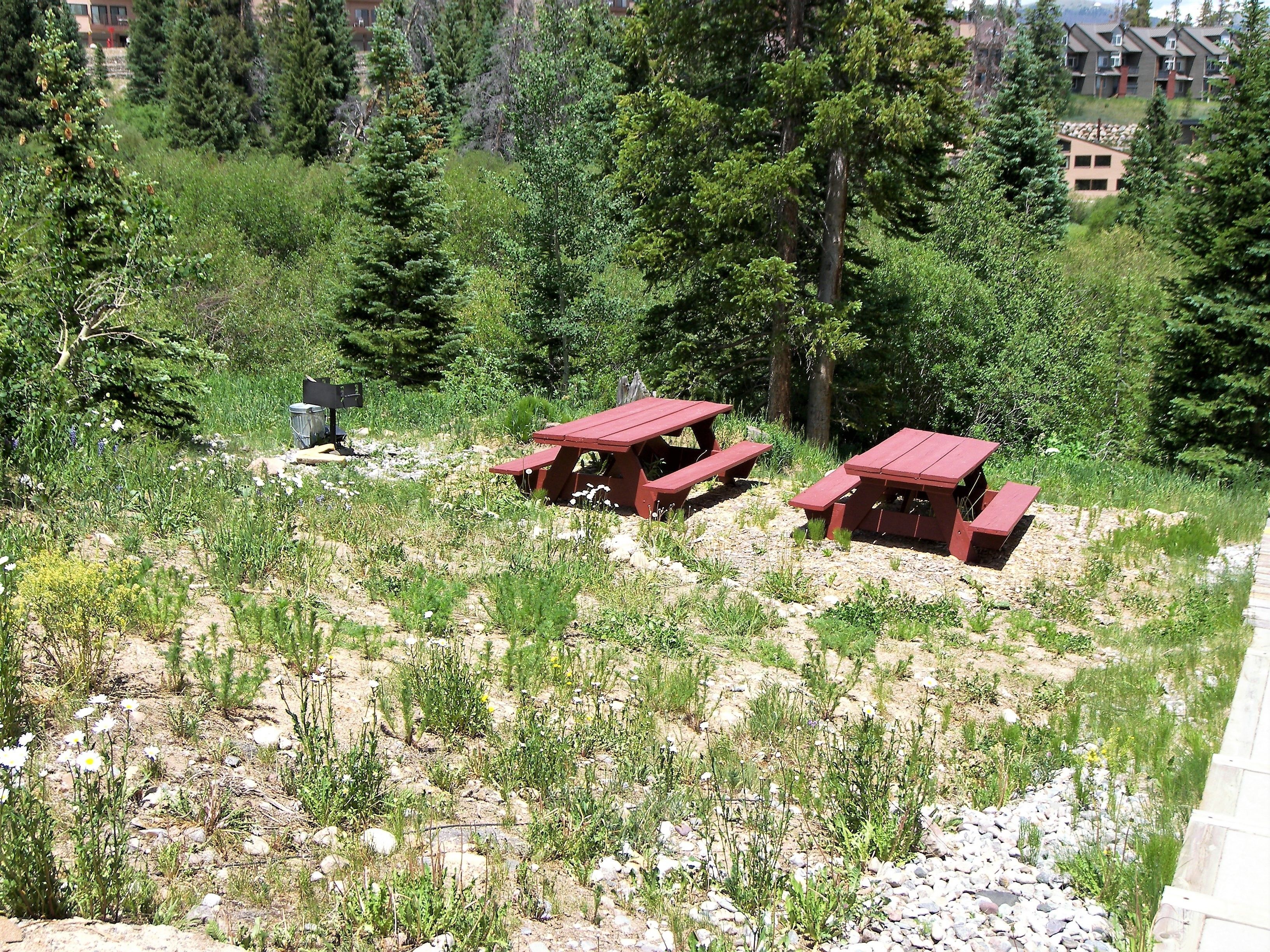 Buffalo Ridge