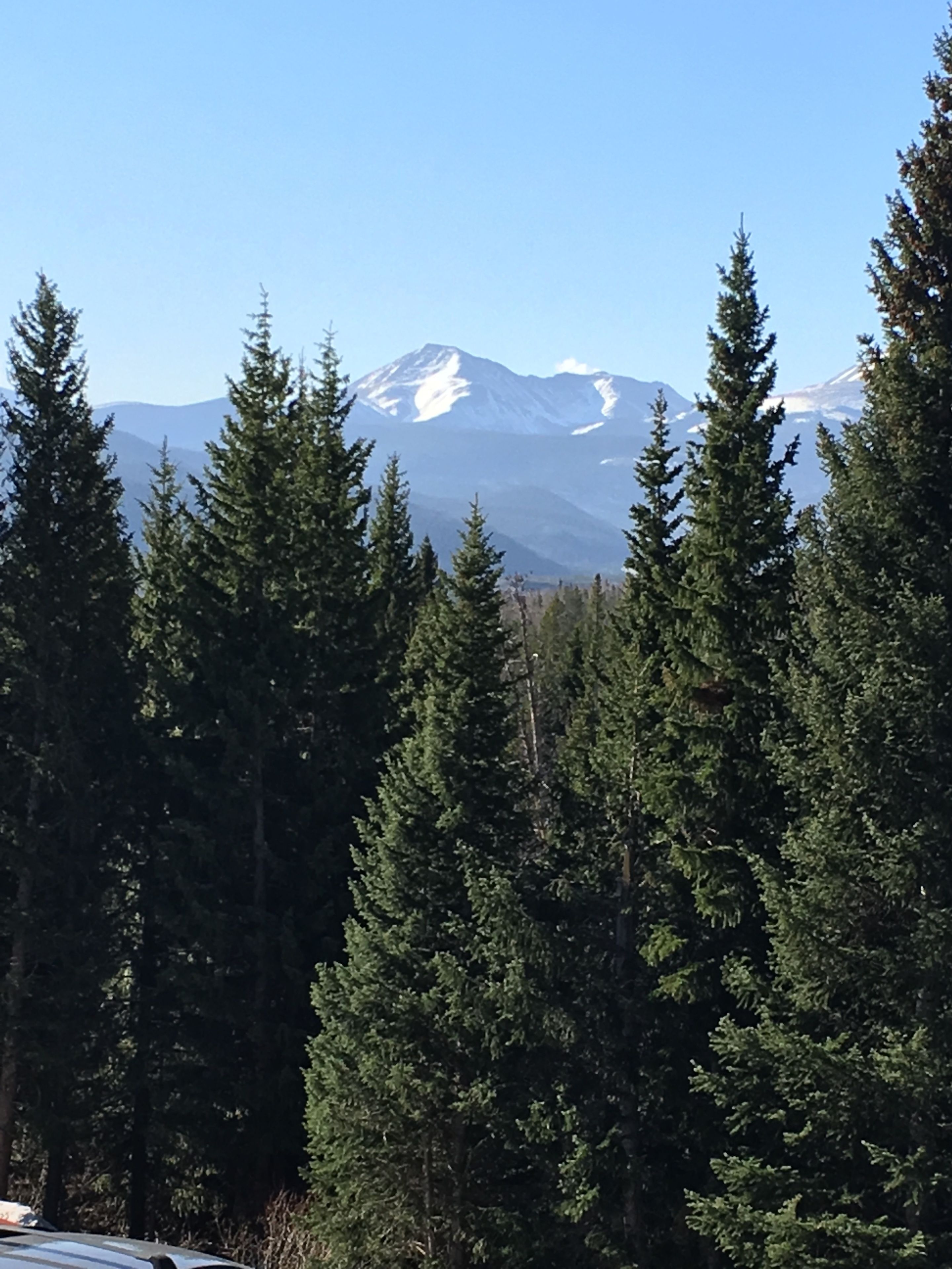Buffalo Ridge