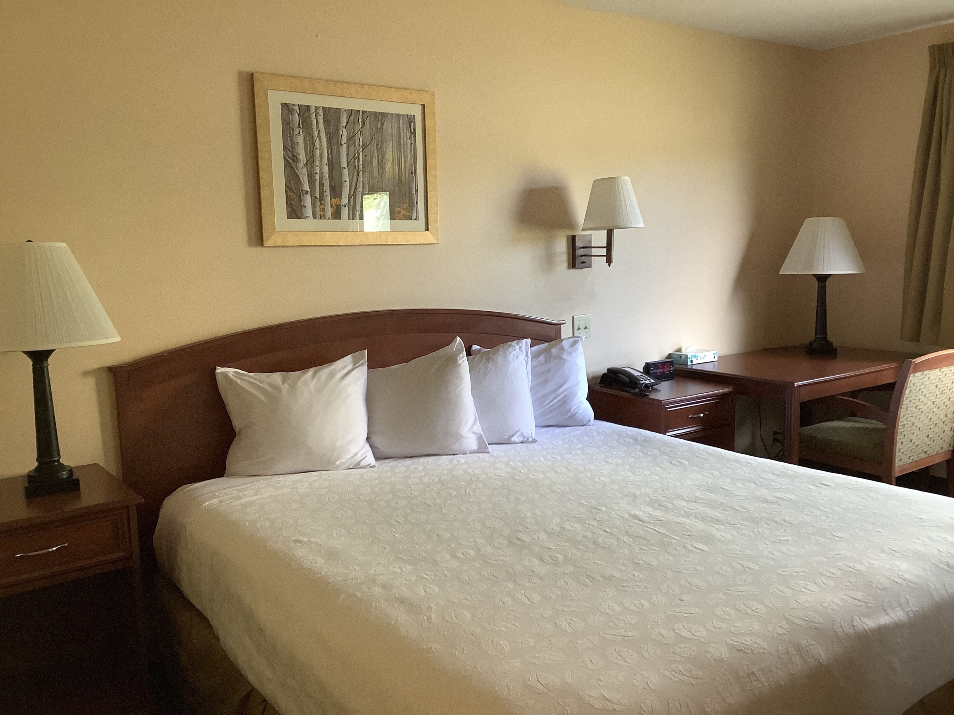 Luxury Inn and Suites