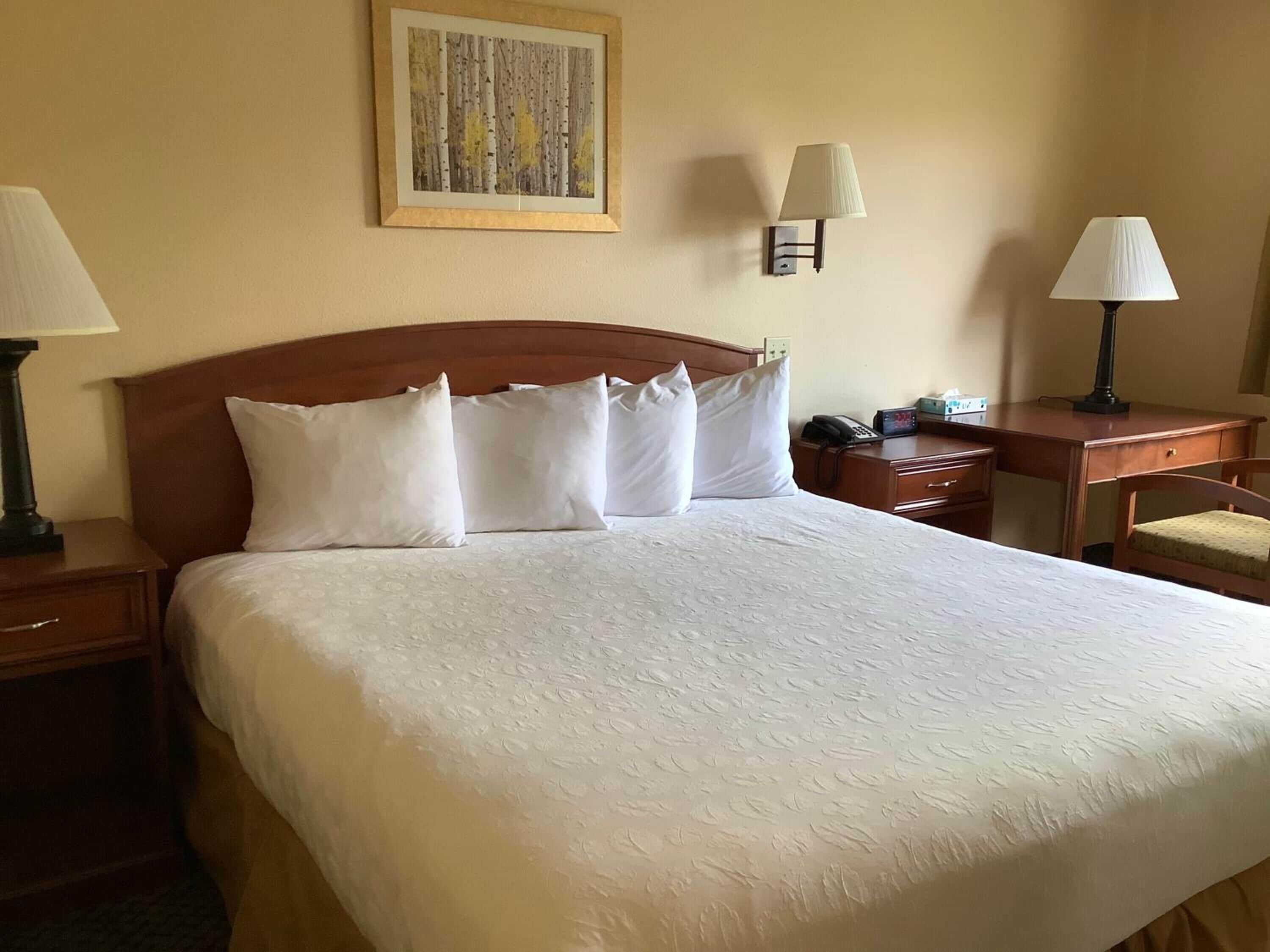 Luxury Inn and Suites