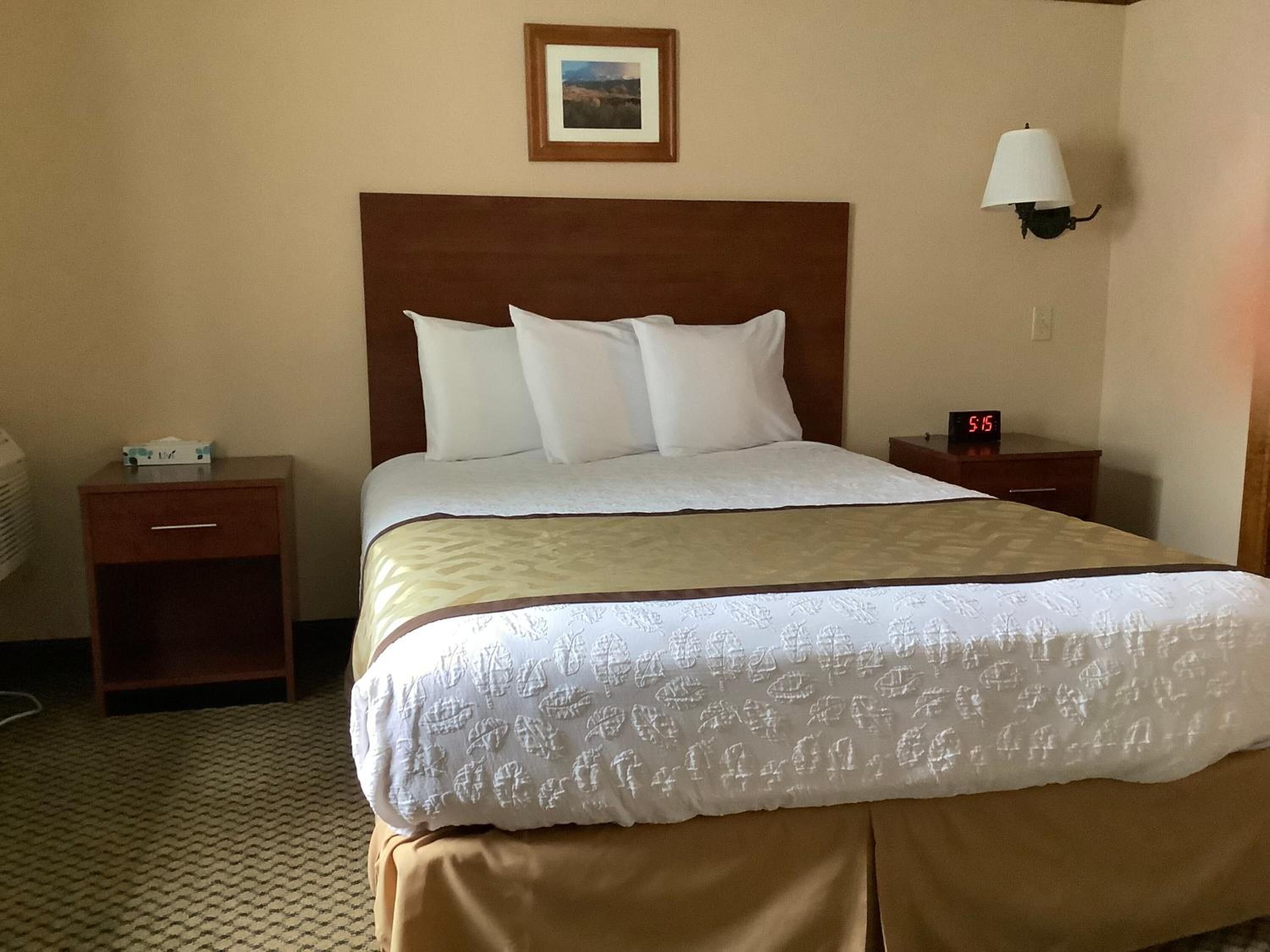 Luxury Inn and Suites