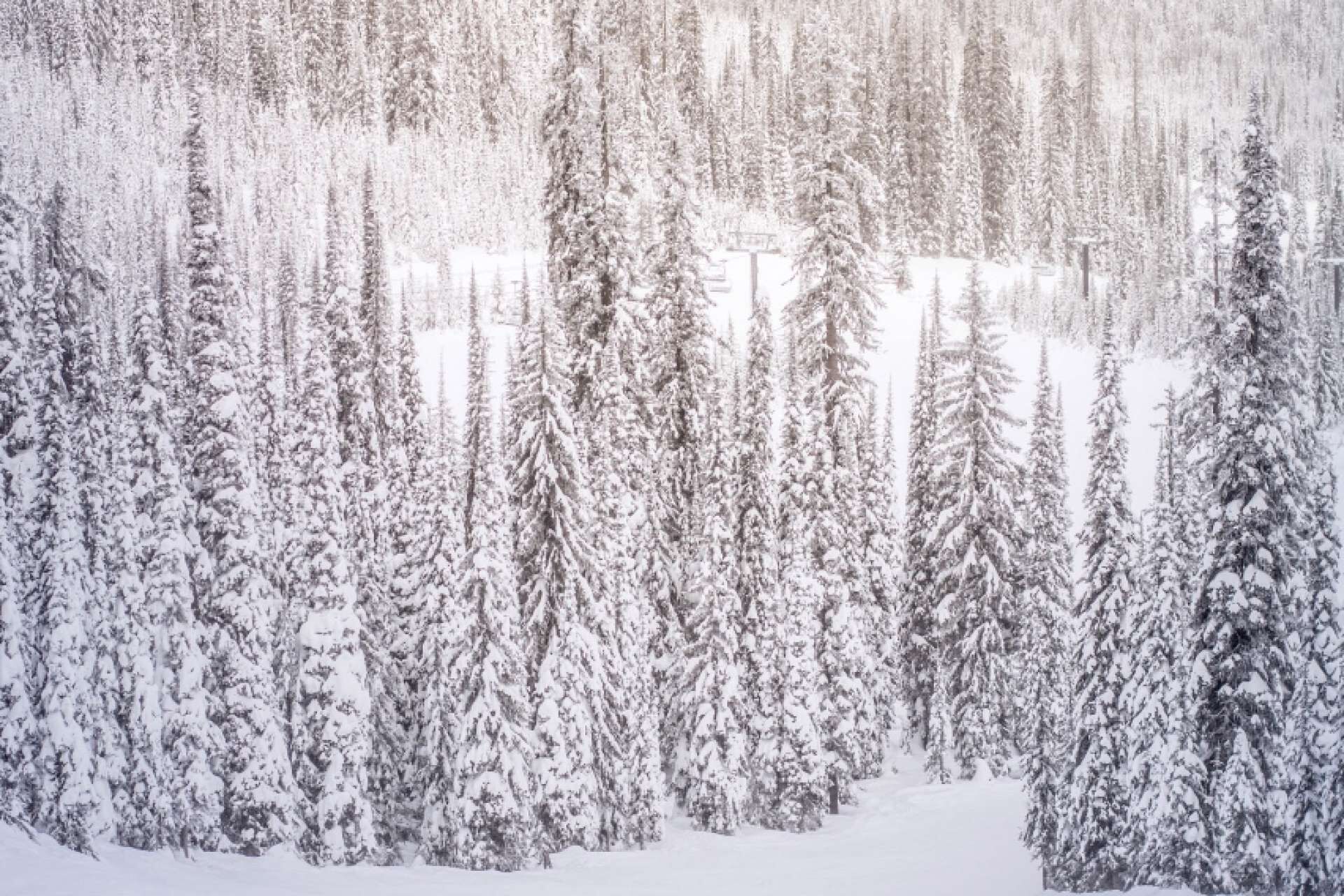 Seasons Four Condos By iTrip Vacations Aspen-Snowmass
