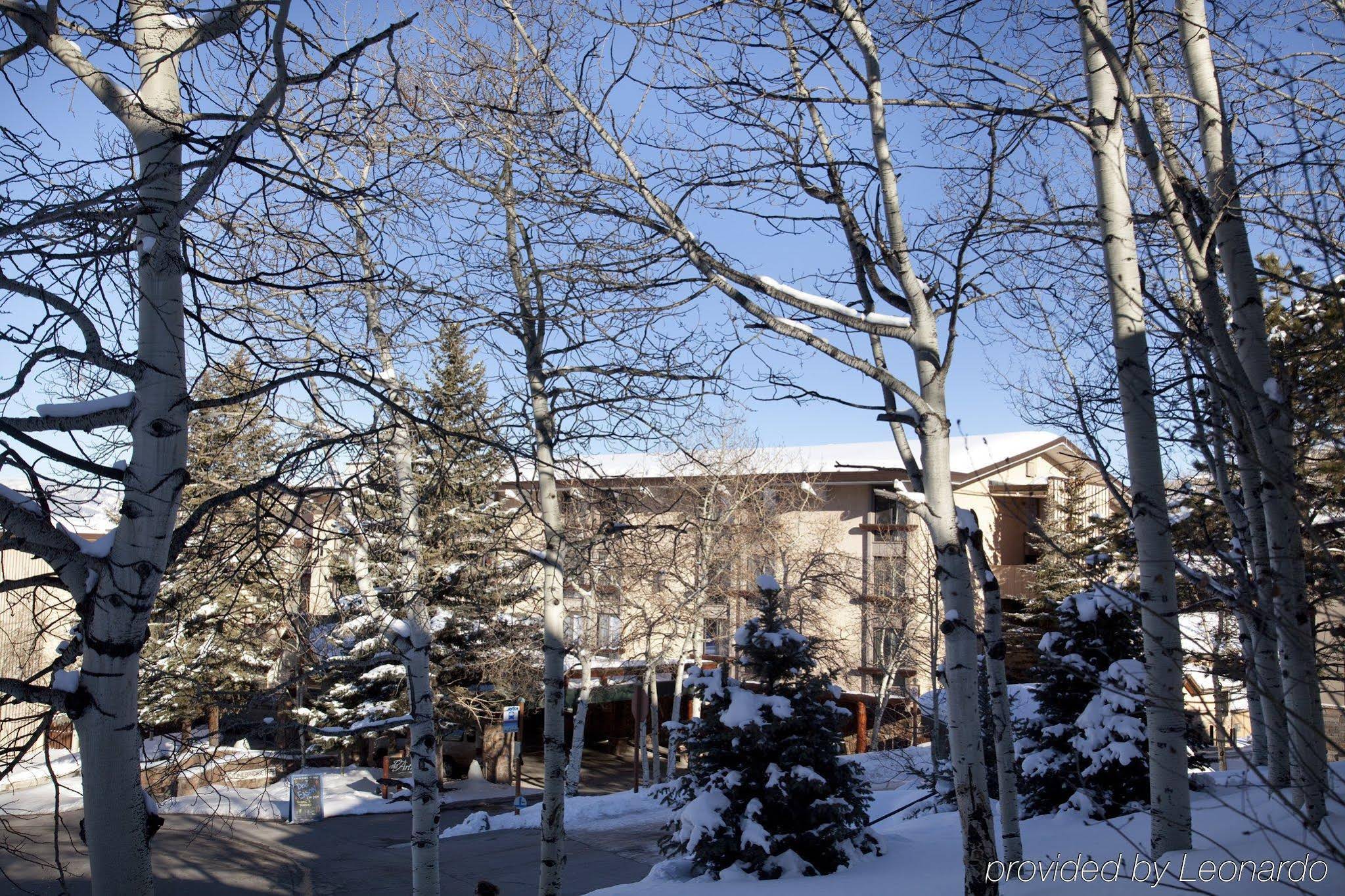 Tamarack Townhomes
