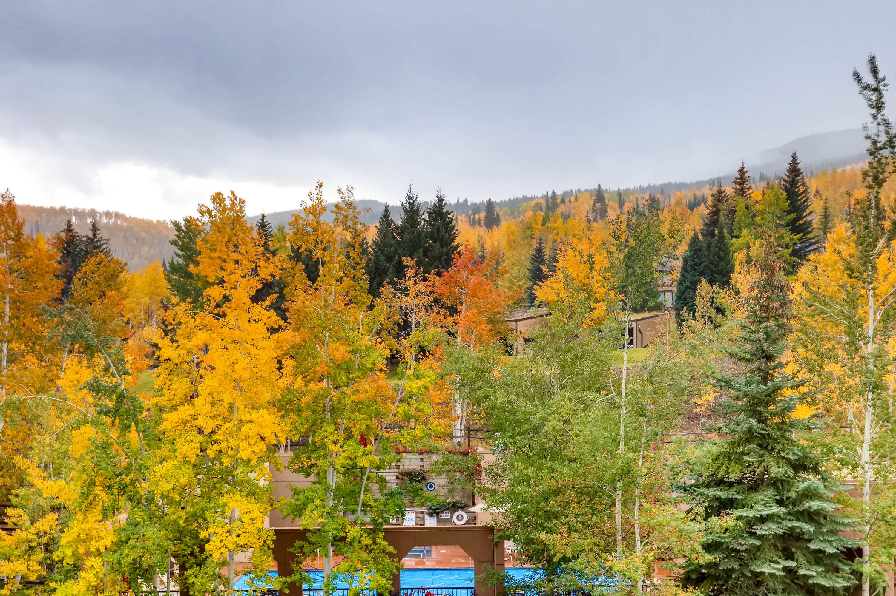 Woodrun Place, a Destination by Hyatt Residence