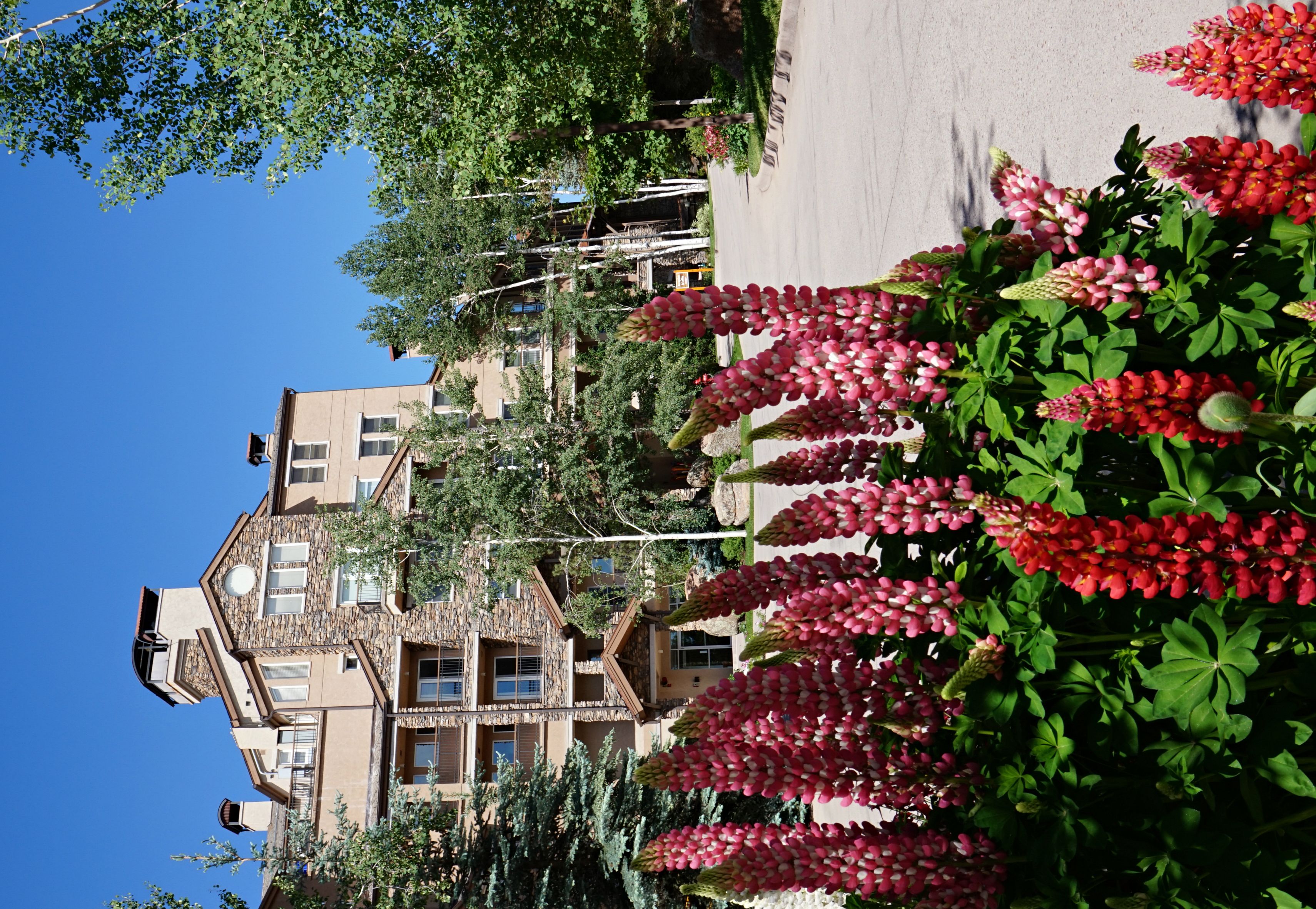 Woodrun Place, a Destination by Hyatt Residence