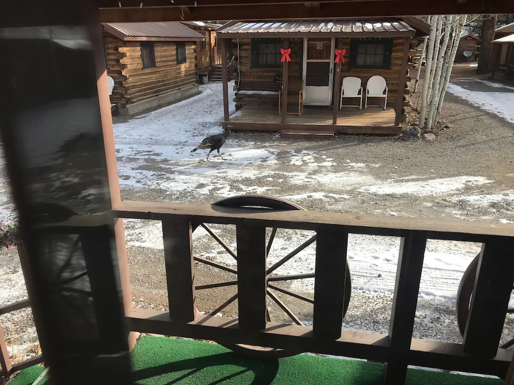 Grandview Cabins & RV Resort