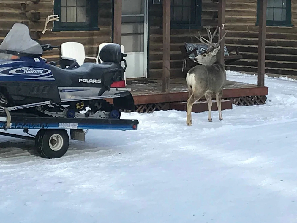 Grandview Cabins & RV Resort