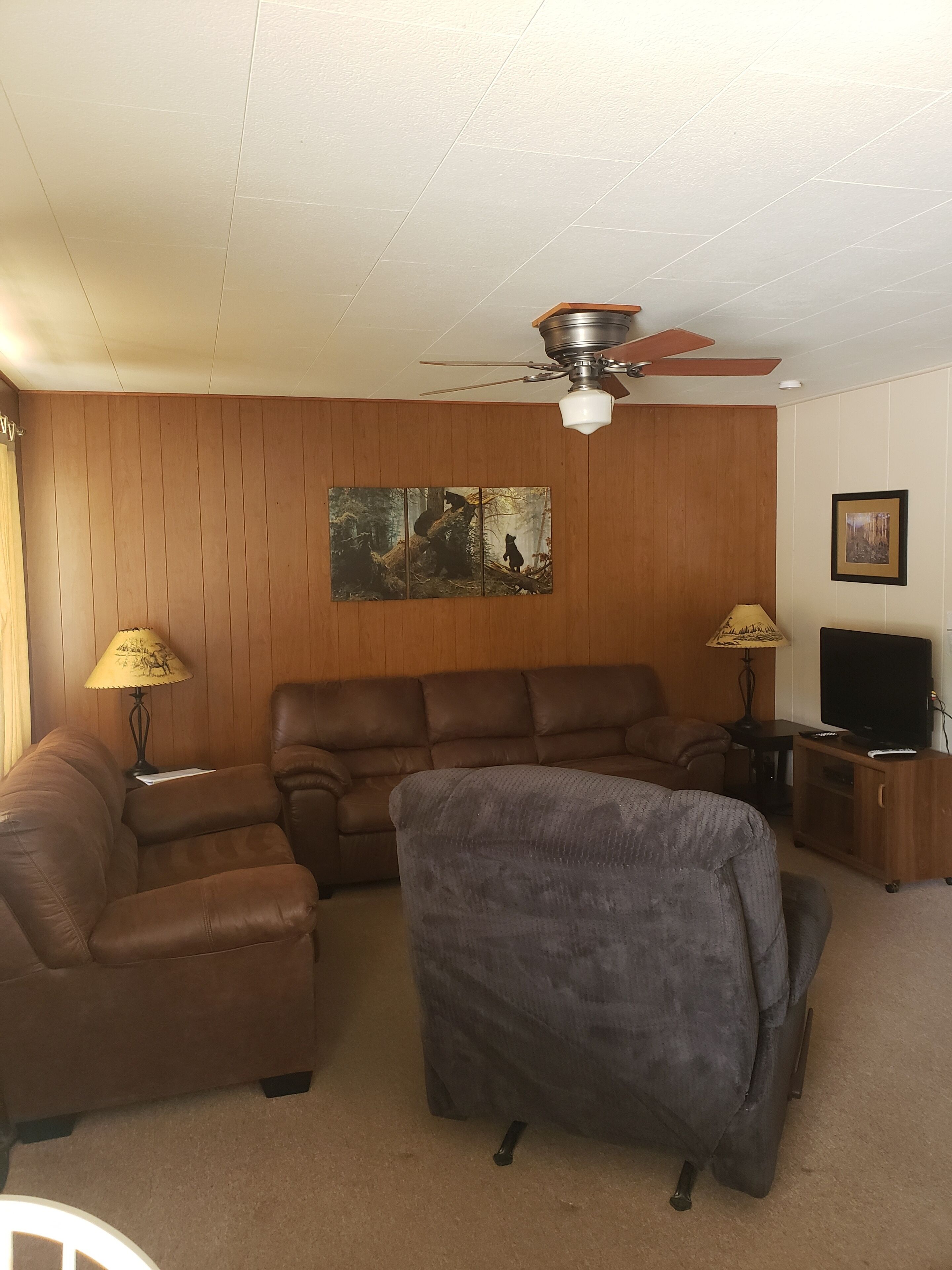 Lazy Bear Cabin