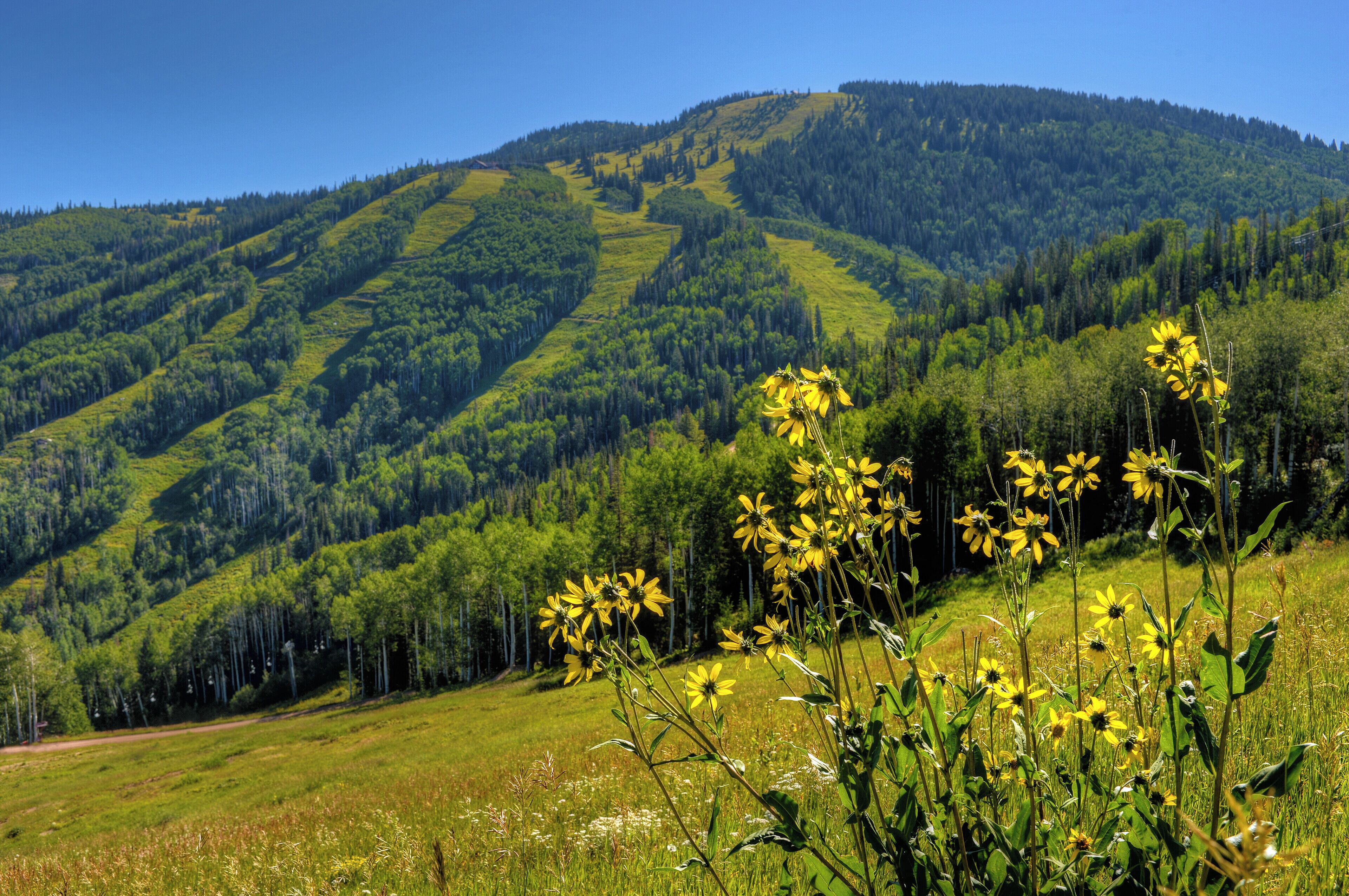 Steamboat Grand Resort