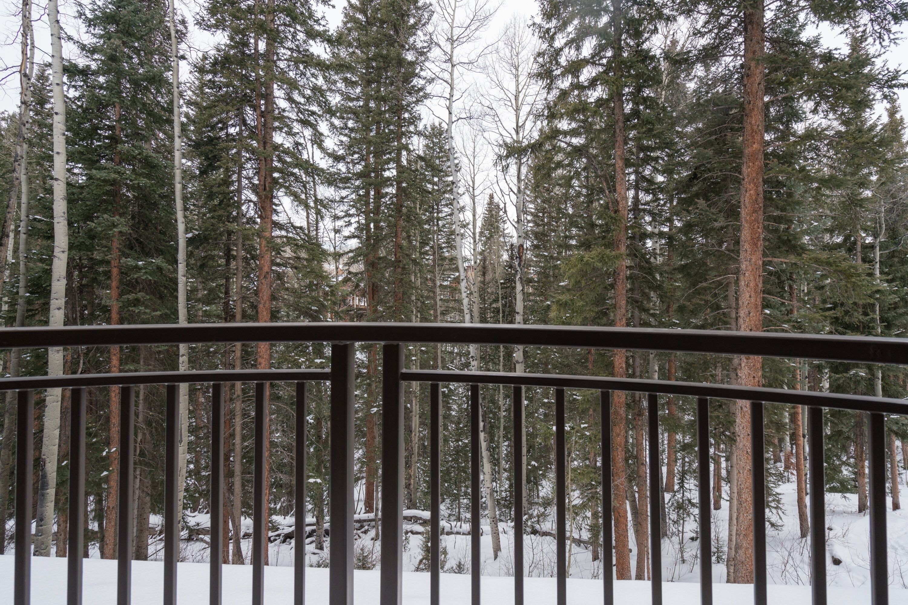 Bear Creek Lodge