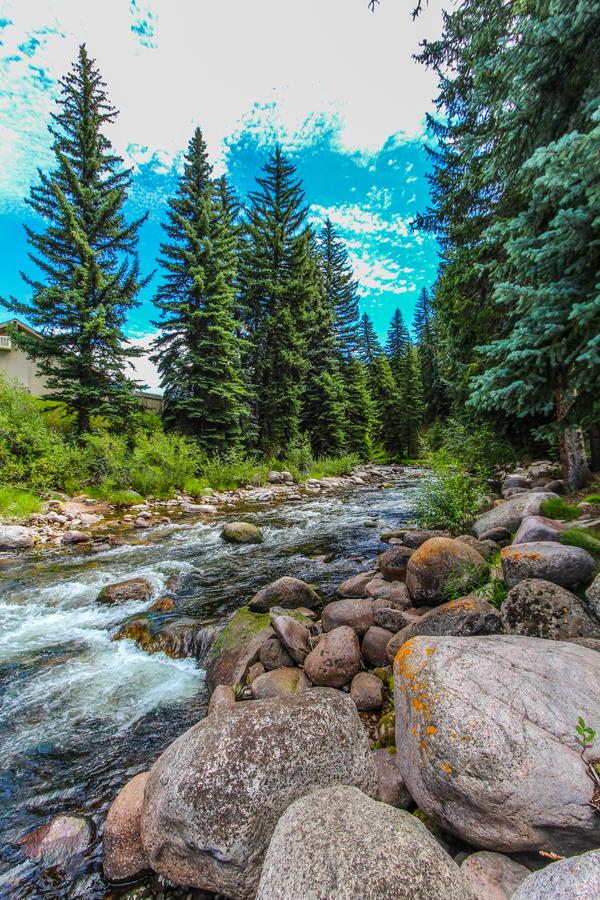 Aspen at Streamside
