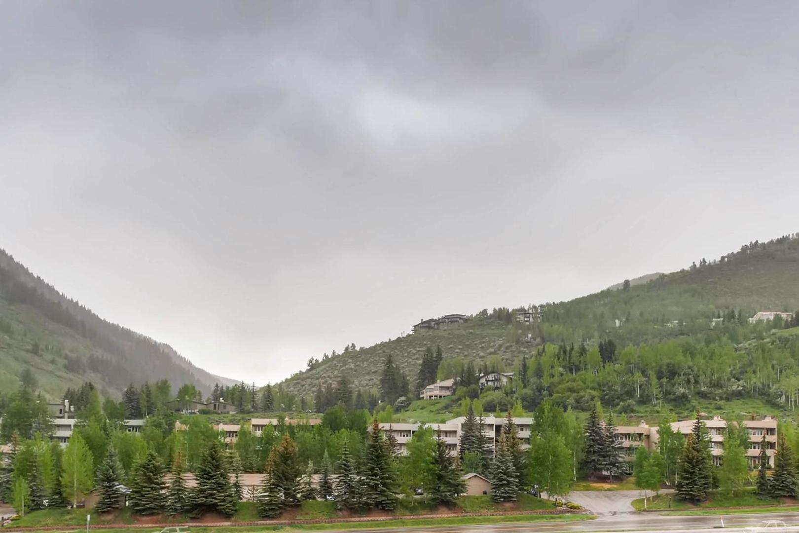 Lion Vail by East West