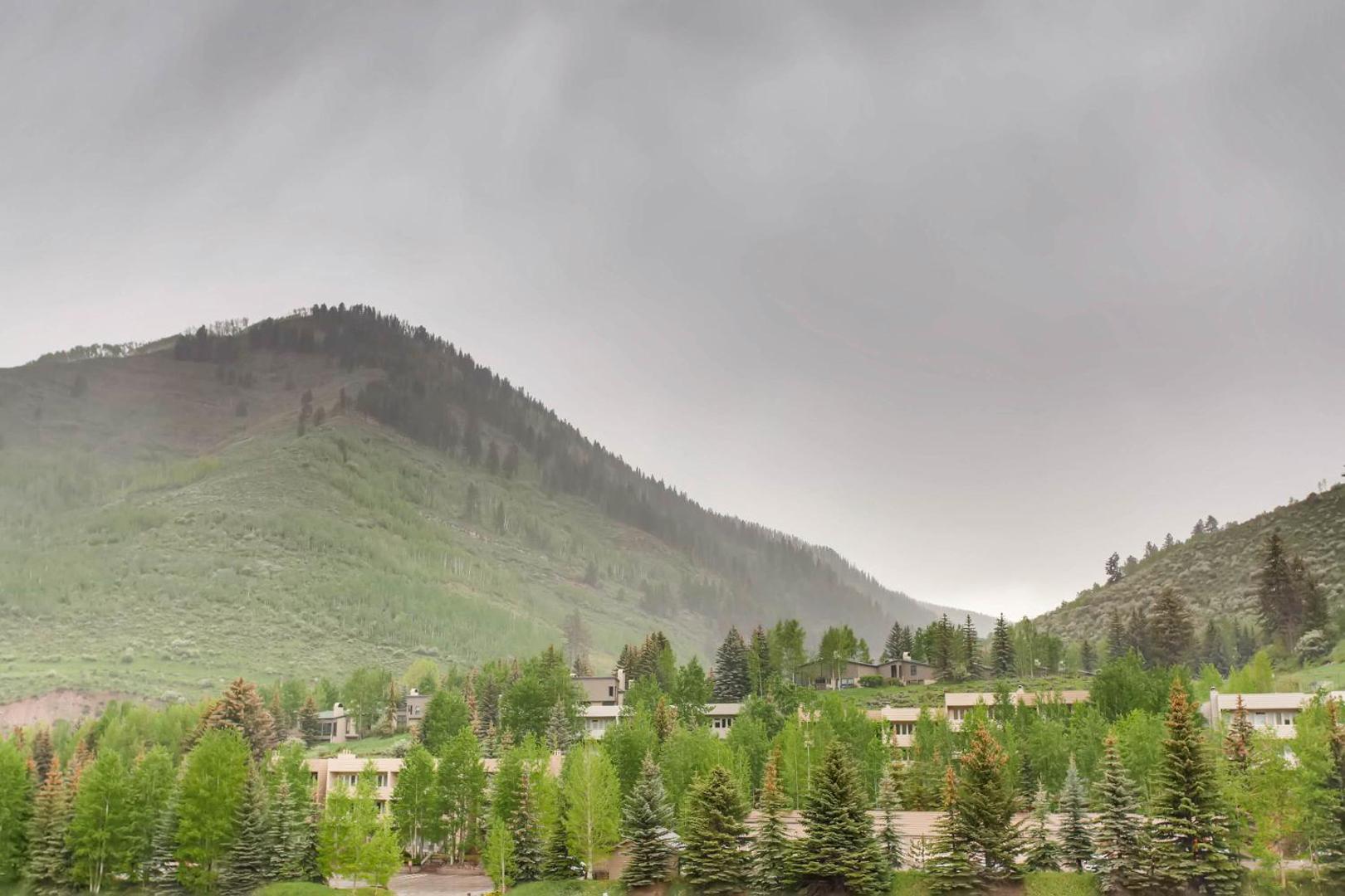 Lion Vail by East West