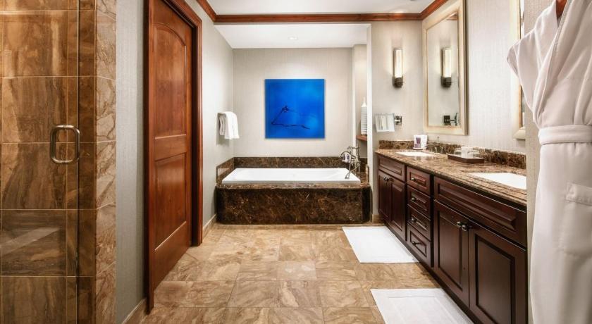 The Ritz Carlton Club, Vail