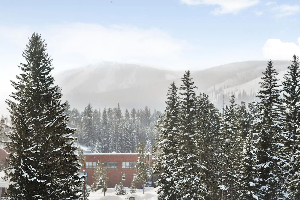 Arrow by Winter Park Escapes