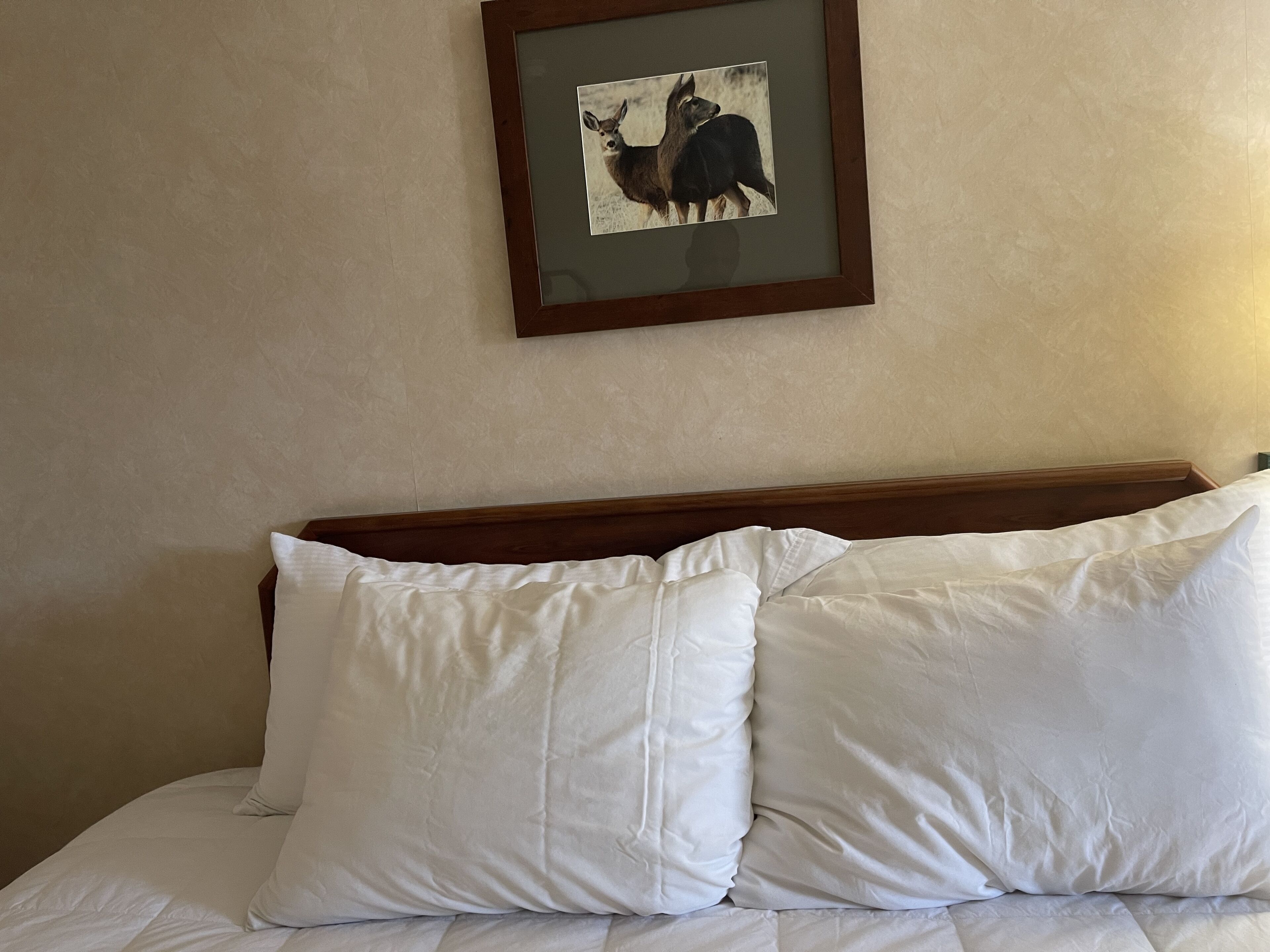 Hotel Yuma