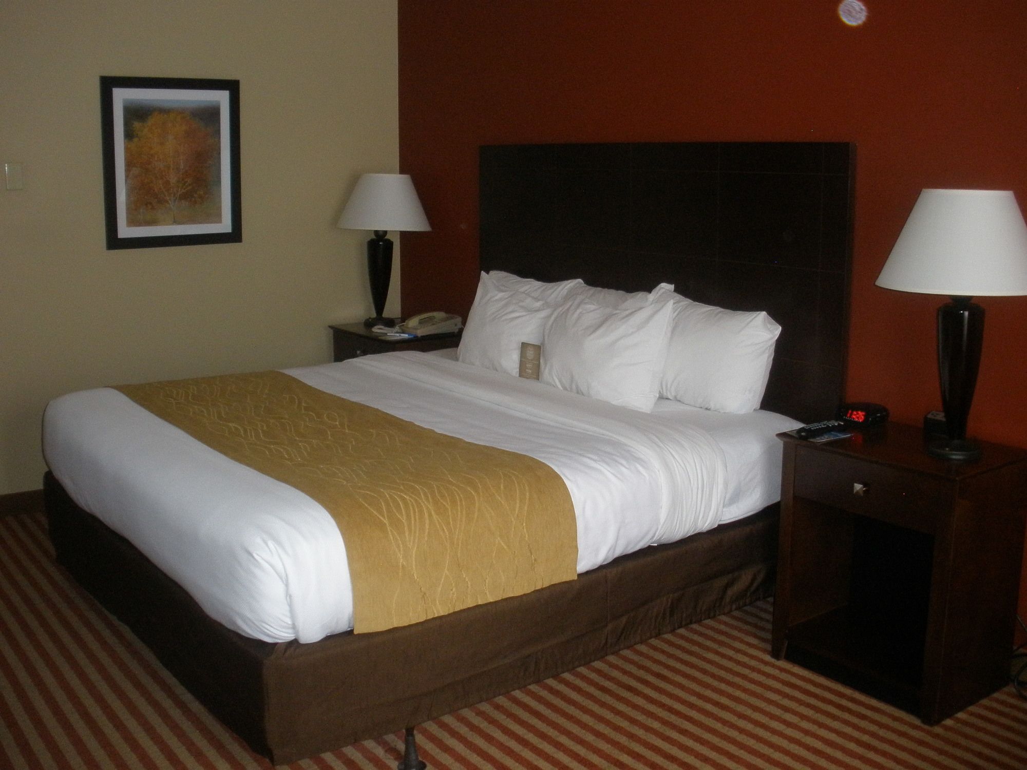 Comfort Inn & Suites