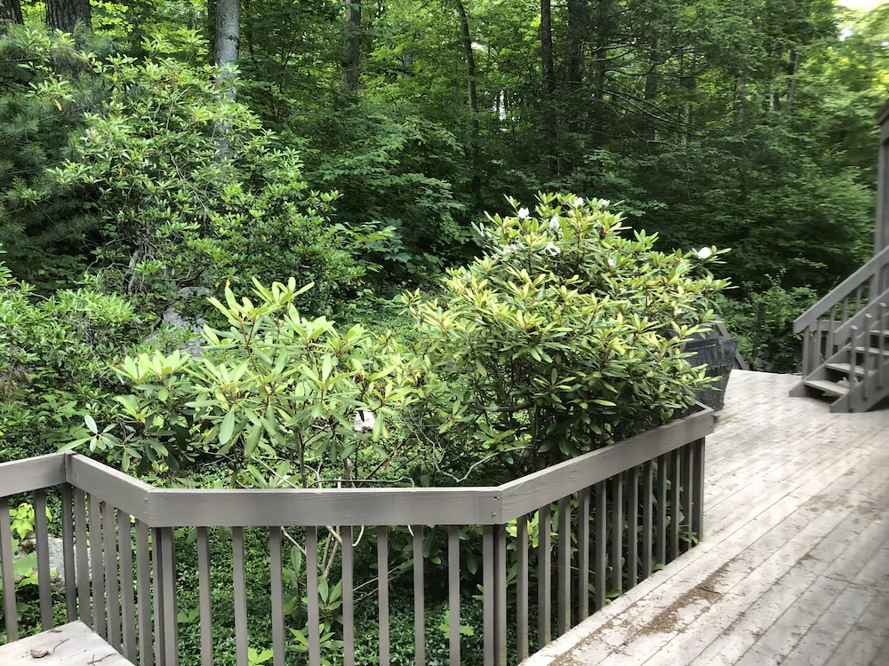 Immutech East Coast Elite Vacation House