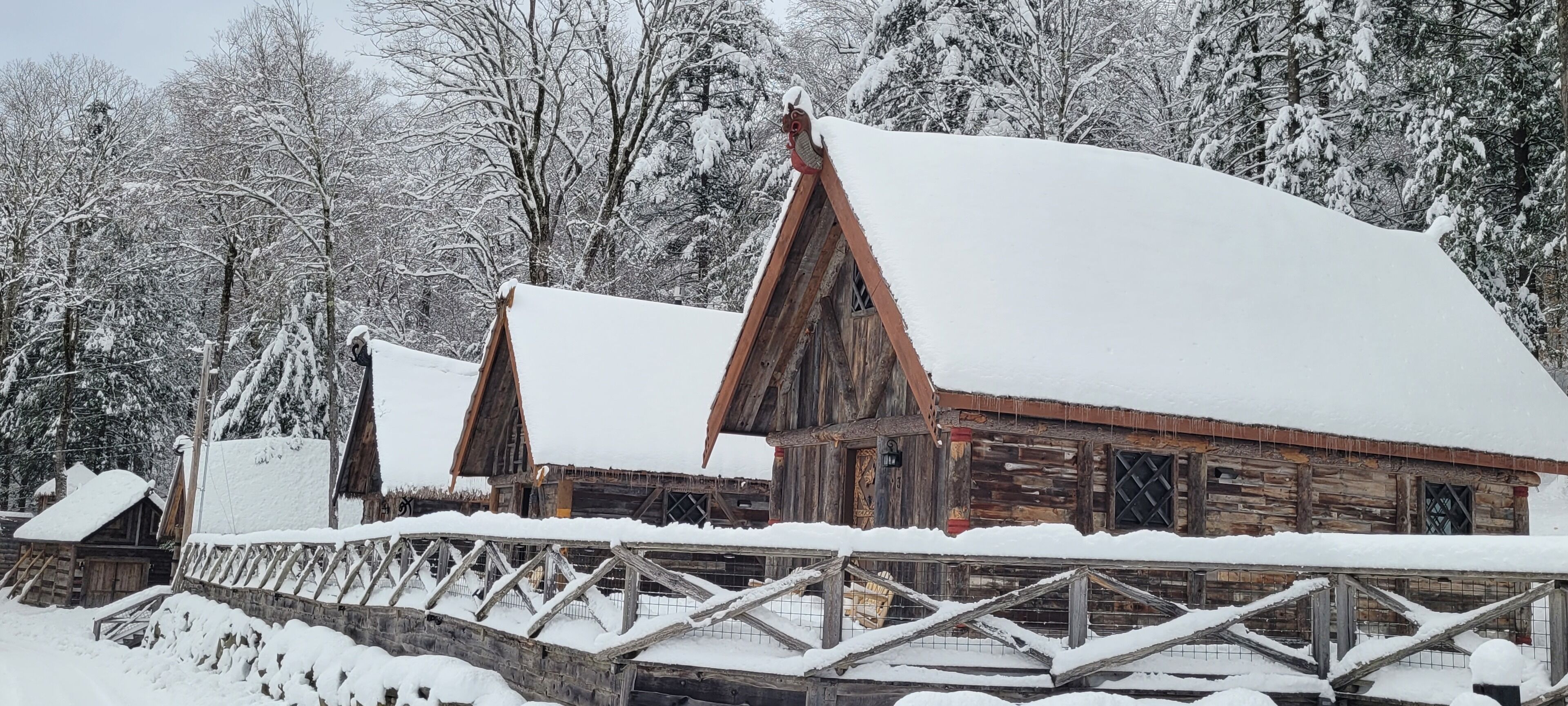 Viking Villages Resorts