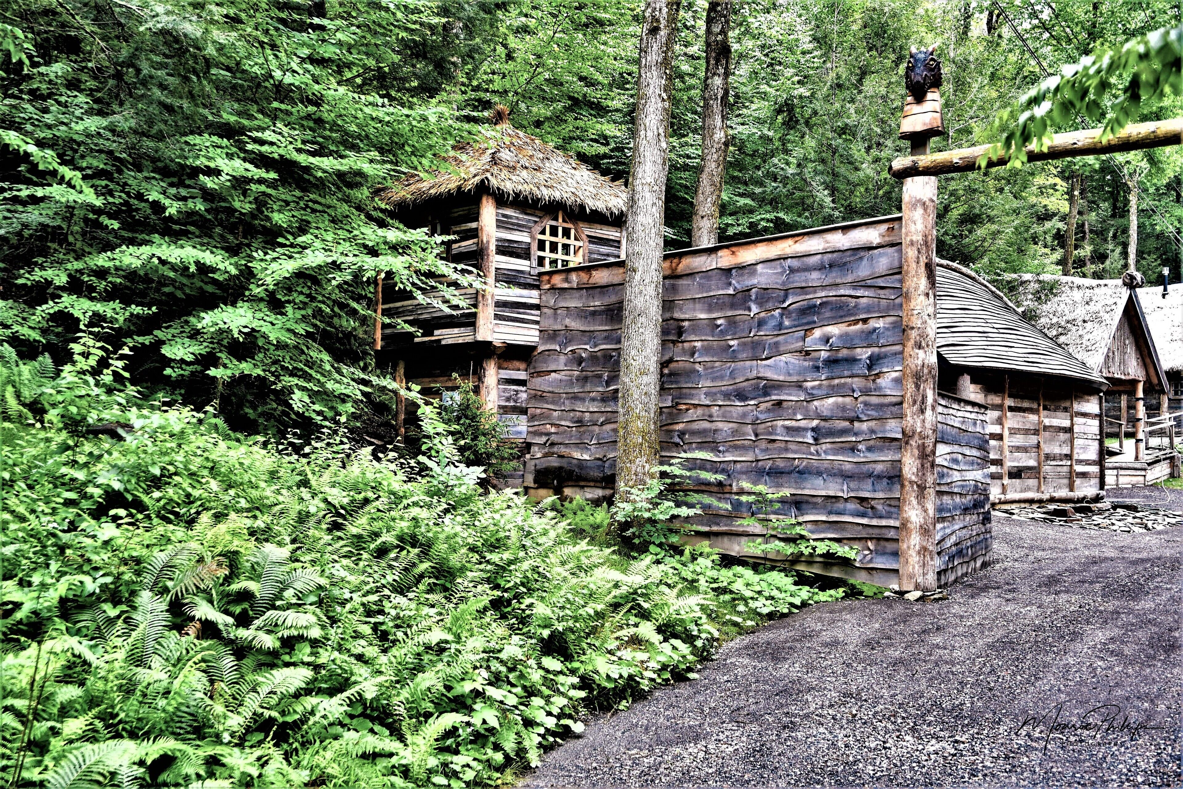 Viking Villages Resorts