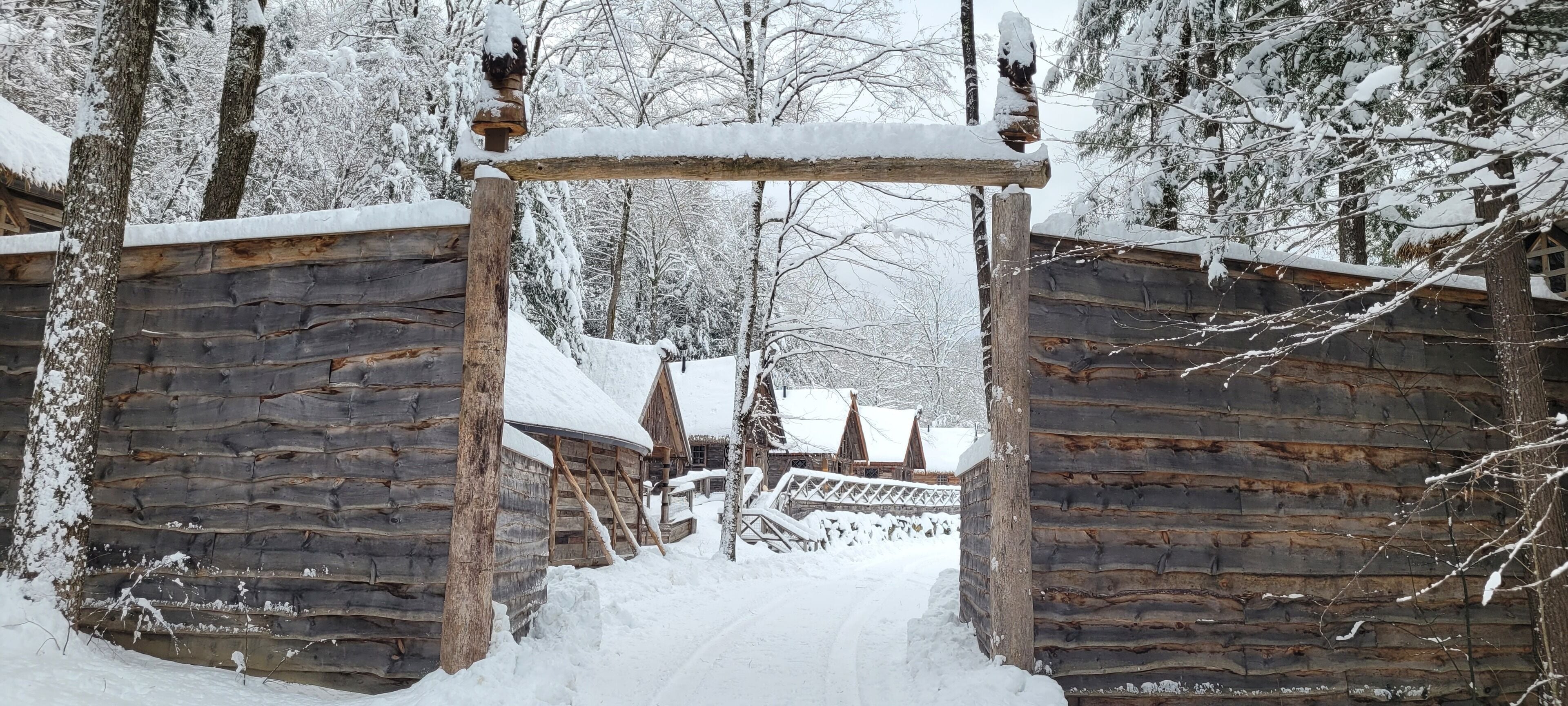 Viking Villages Resorts