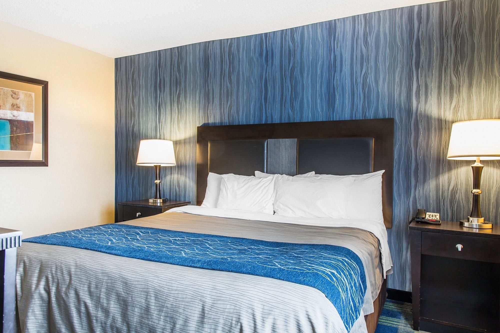 Comfort Inn & Suites Conference Center