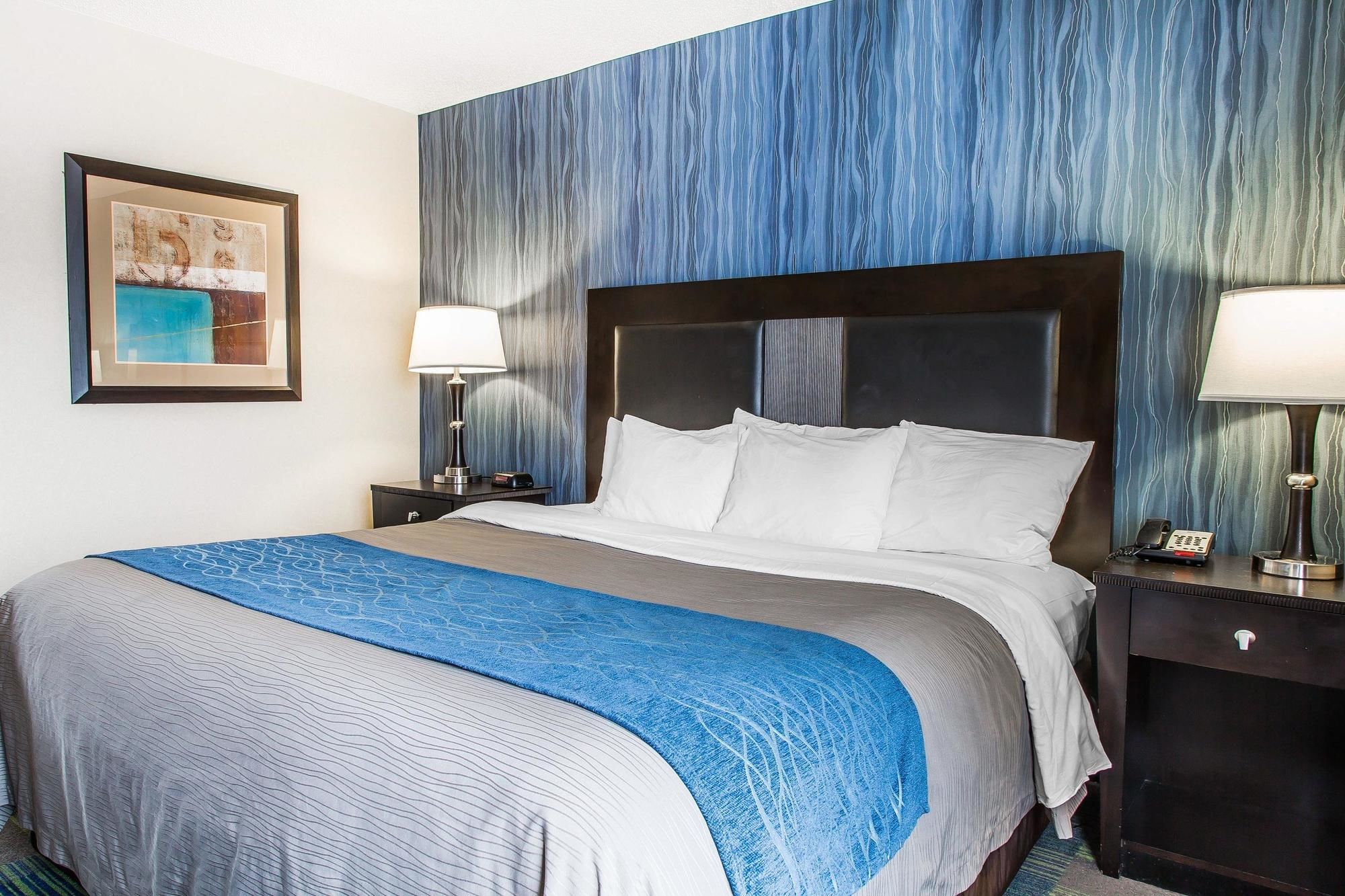 Comfort Inn & Suites Conference Center